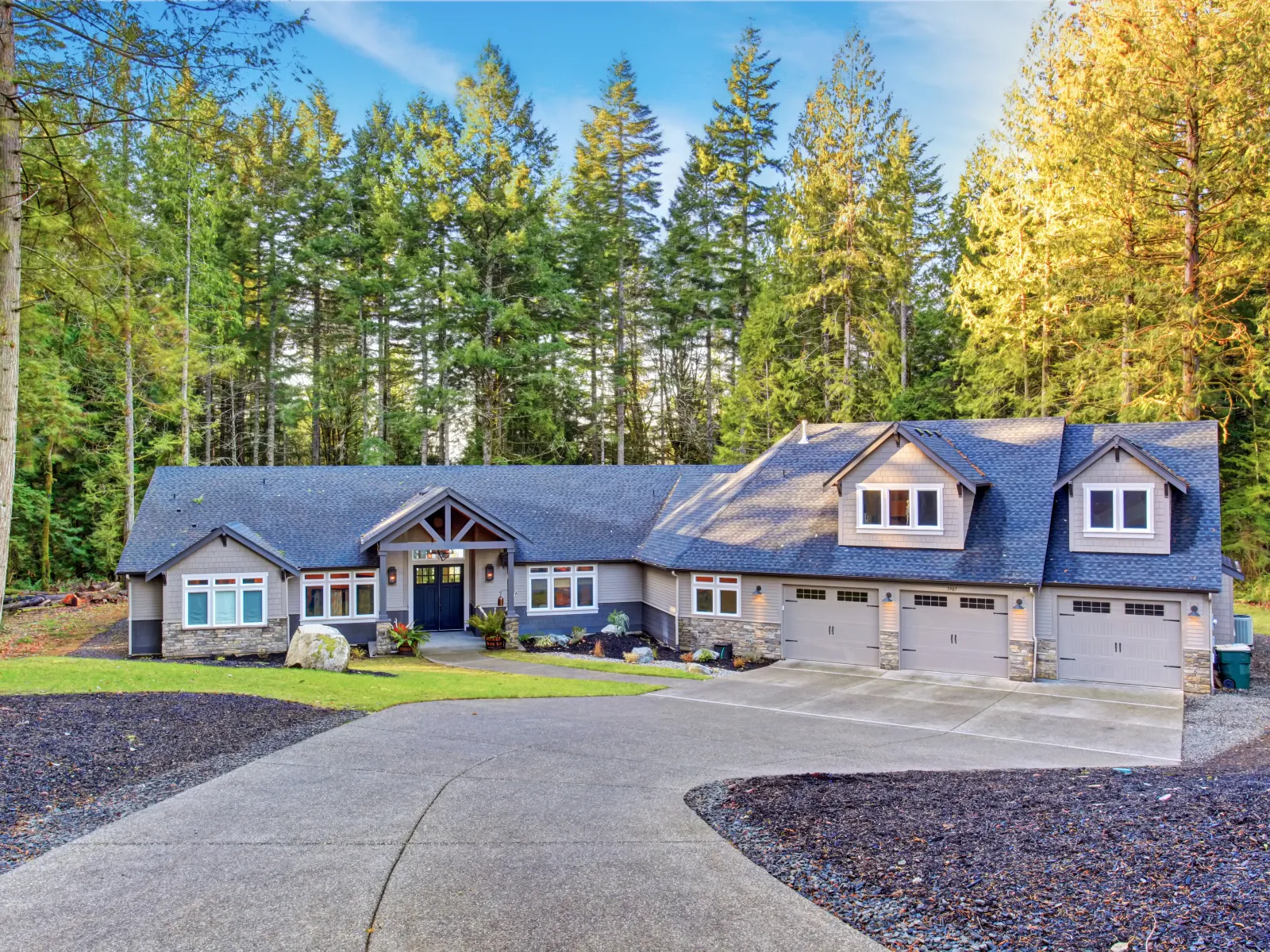 a house with trees around it