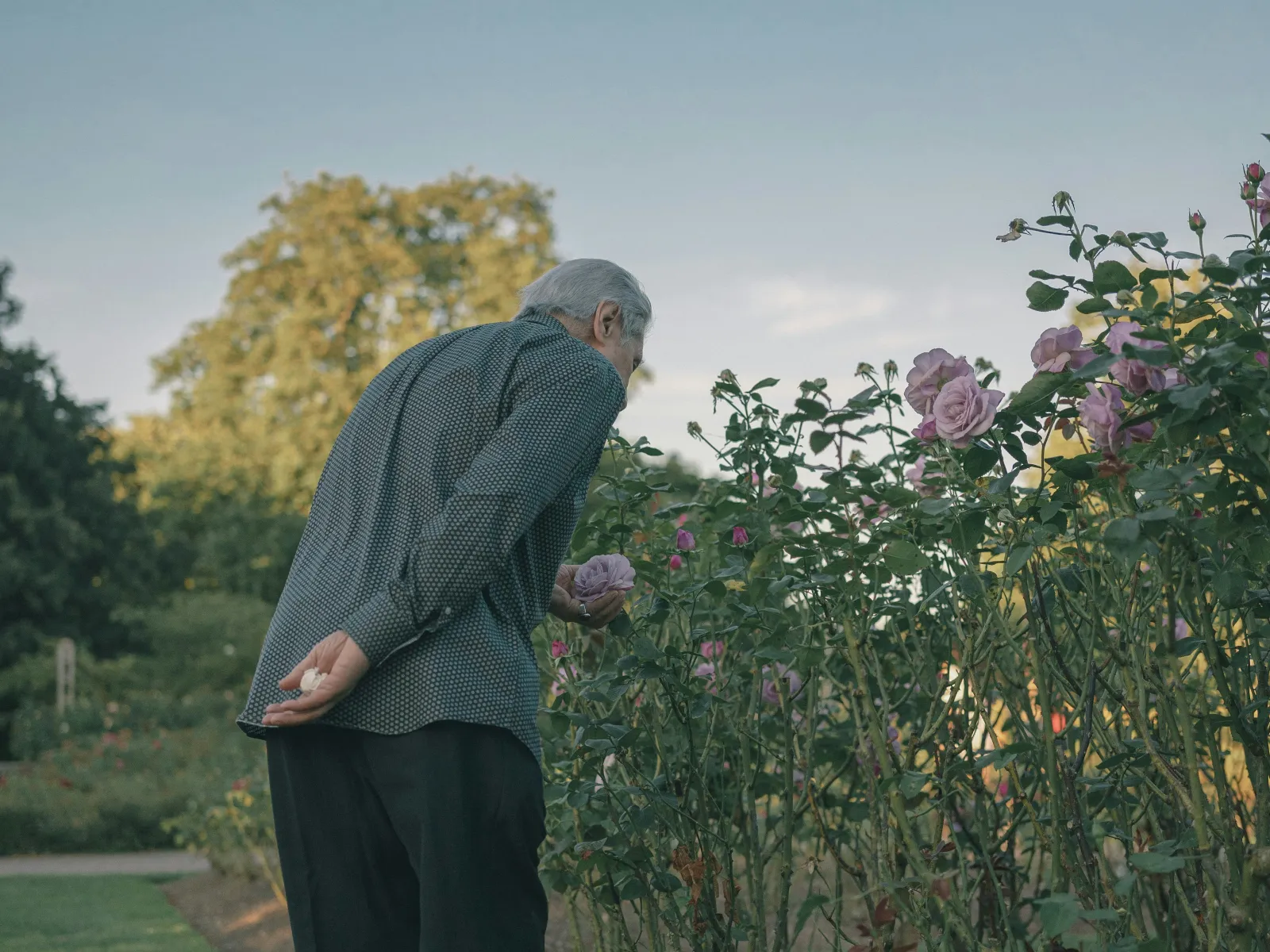 a man standing in a field