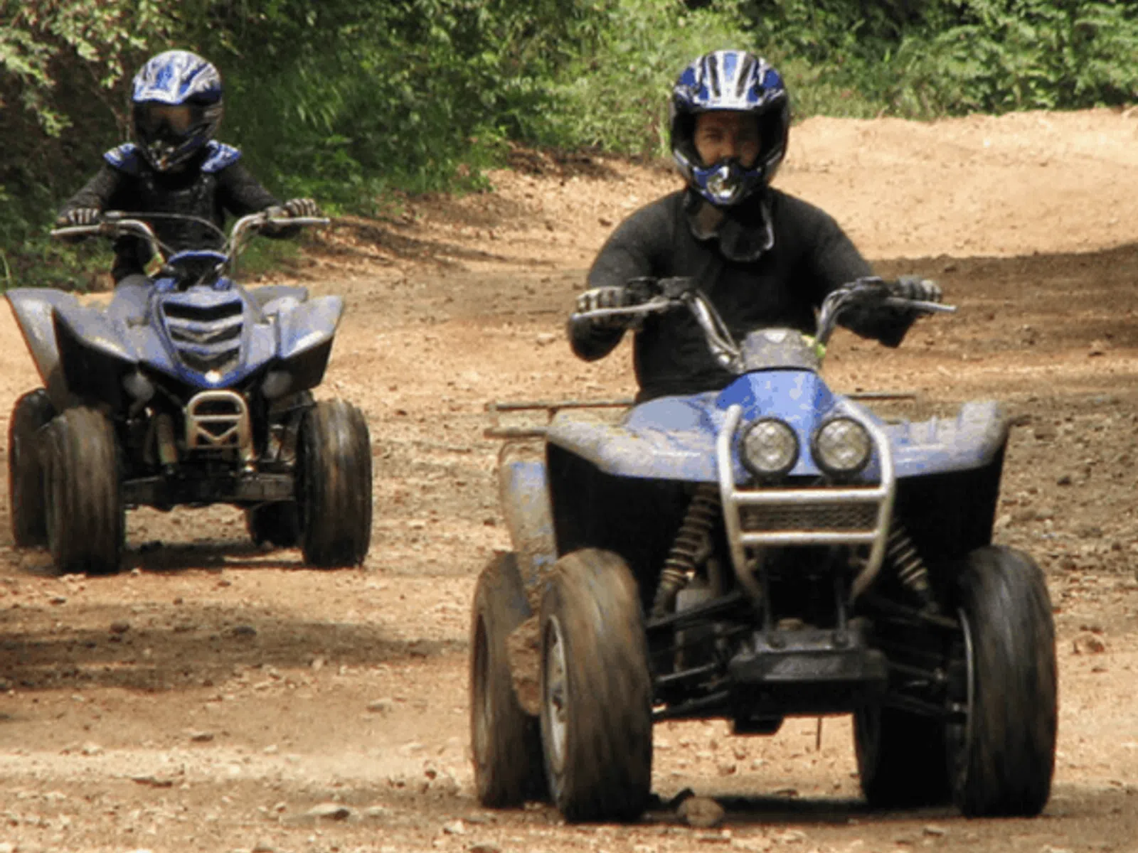 Two people wearing helmets riding blue ATVs on a dirt trail surrounded by green trees.