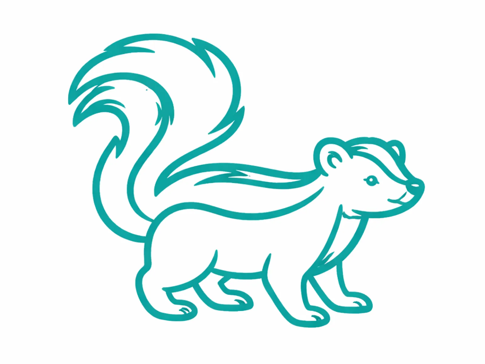 Simple teal line drawing of a skunk with large tail on a white background
