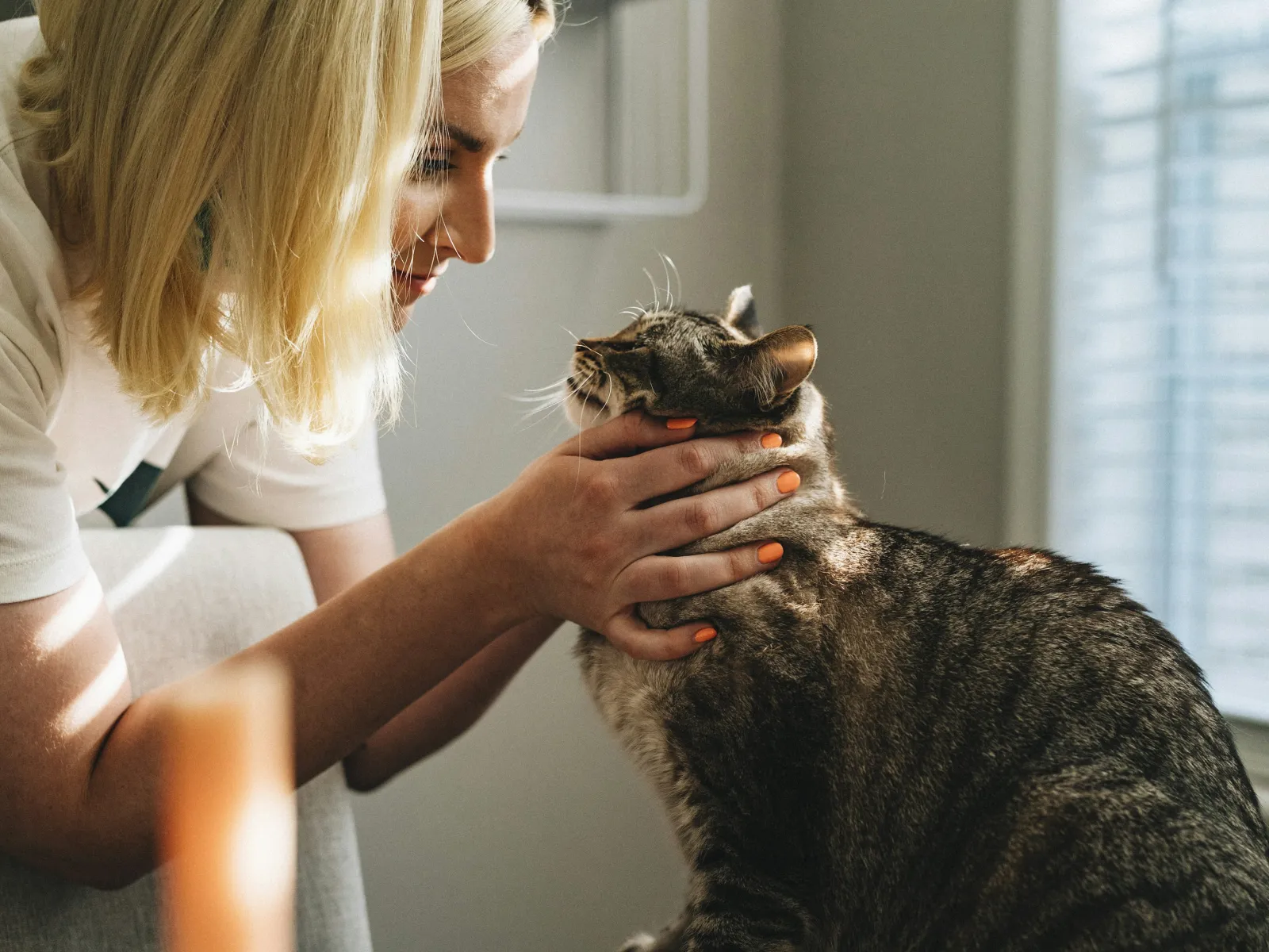 Blonde woman gently holding and looking at a tabby cat in a sunlit cozy room with neutral walls.