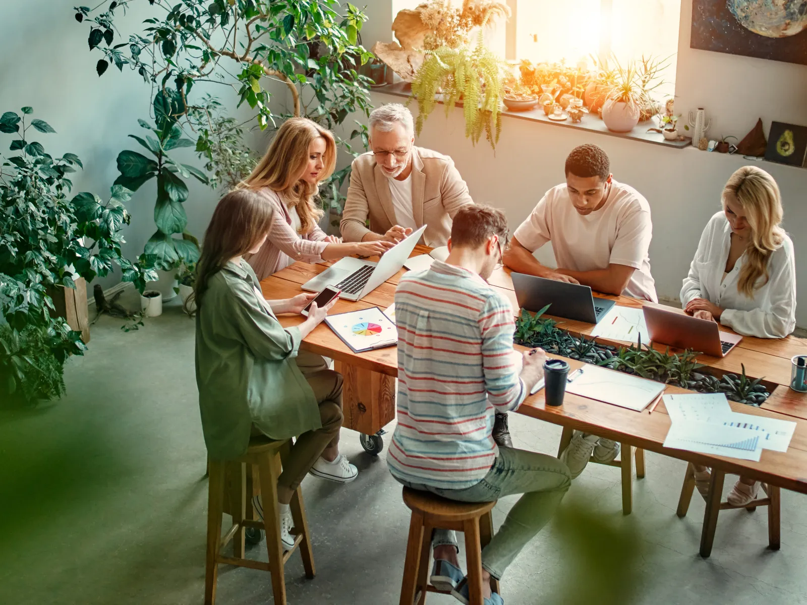 Group of young professionals collaborating and working on laptops and documents in a modern office space with plants.