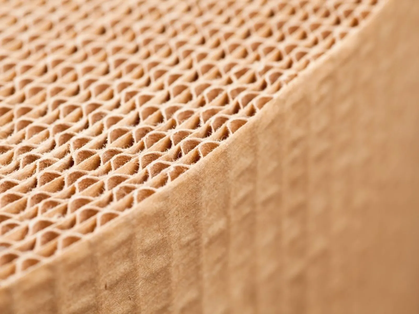 Close-up of corrugated cardboard showing honeycomb-like inner structure and textured surface.