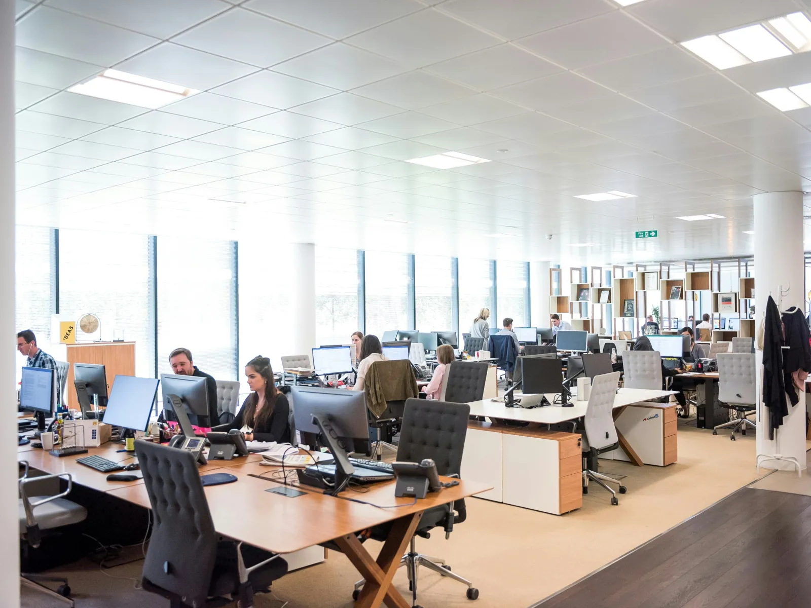 Bright modern open-plan office with employees working at desks and large windows letting in natural light