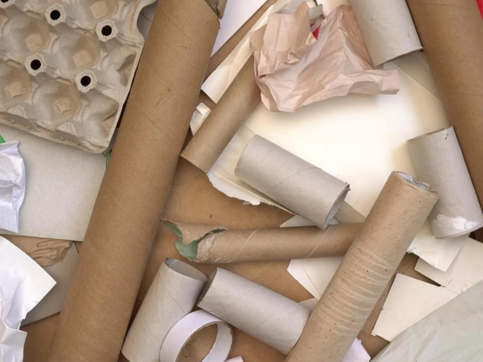 Pile of empty cardboard tubes, egg carton, and crumpled paper scraps on a surface.