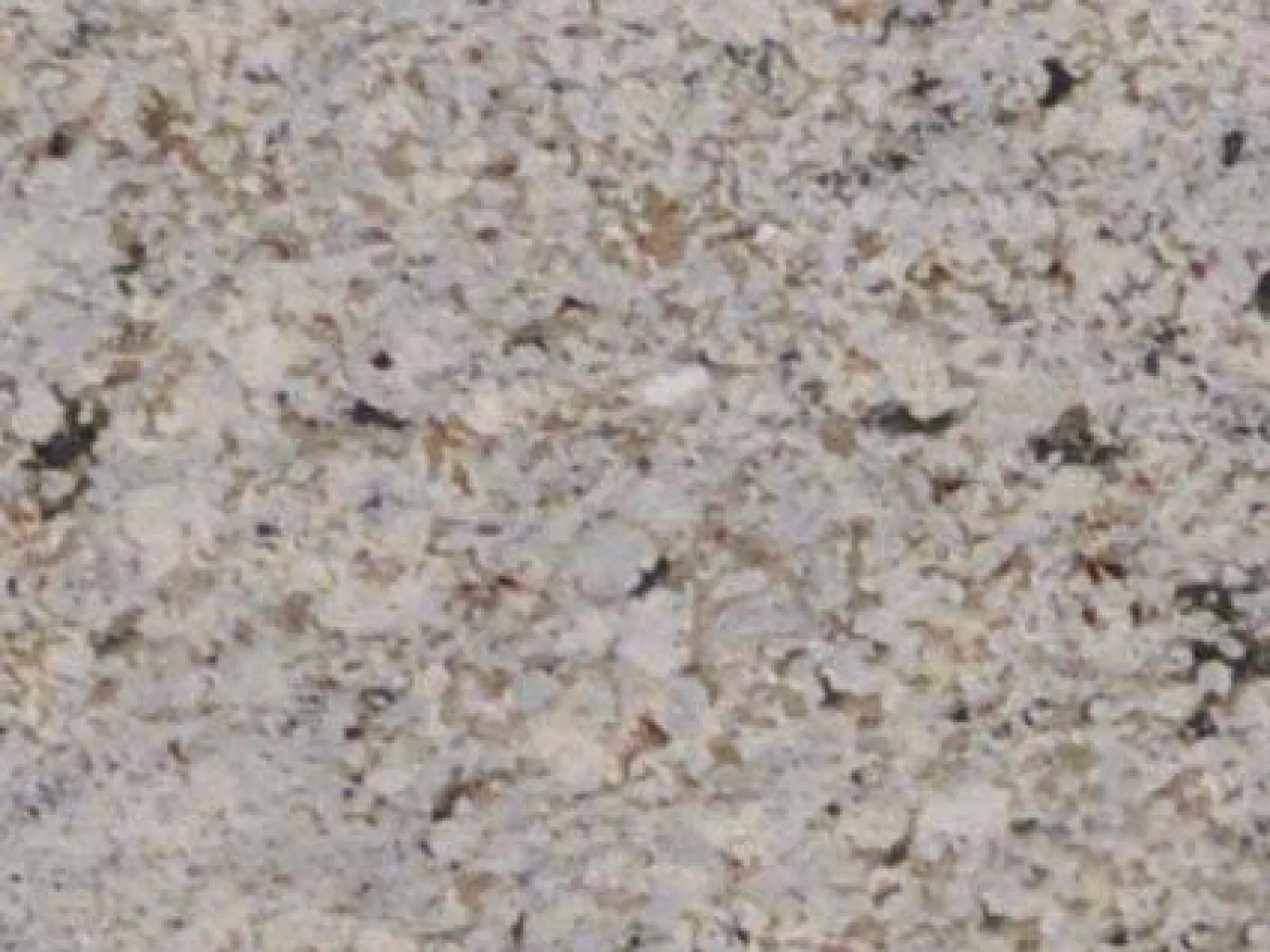 granite stone