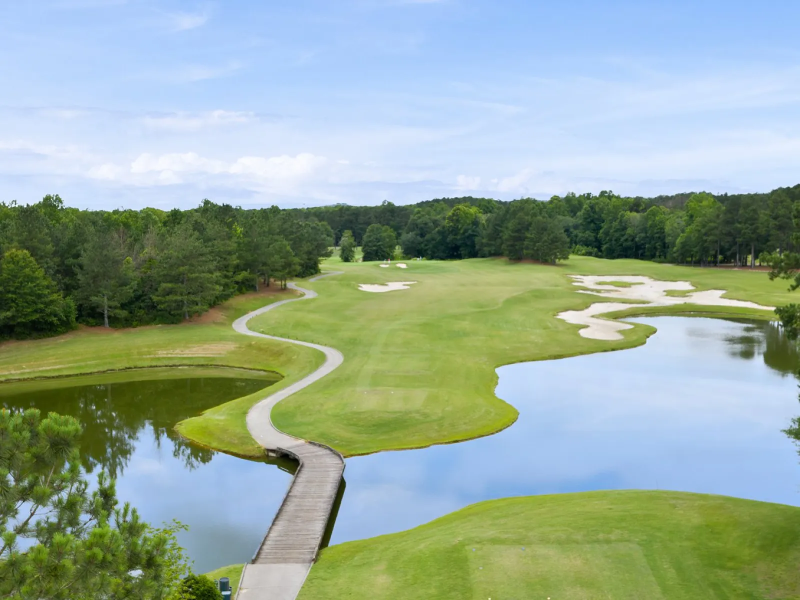 trees surrounding the green at the golf course