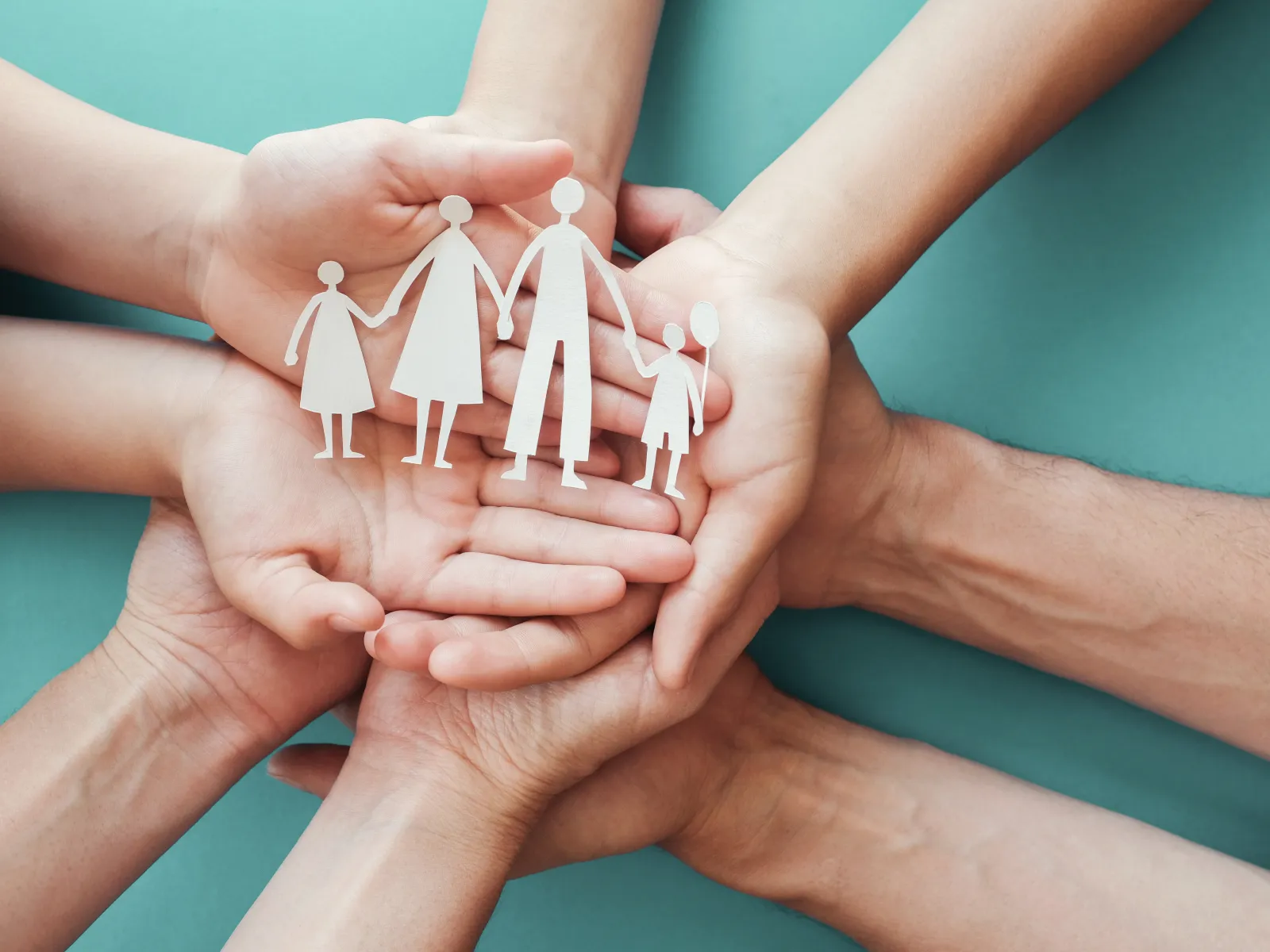 hands holding a heart