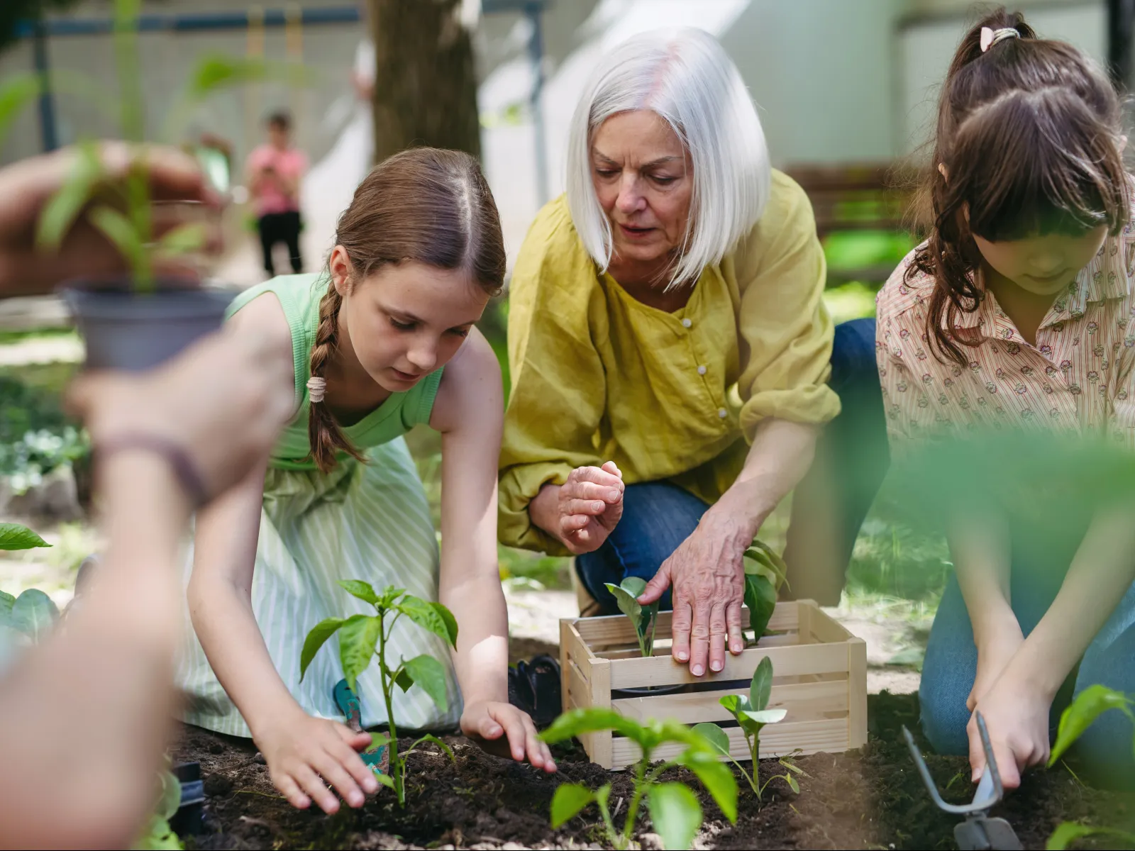 a group of women planting plants
