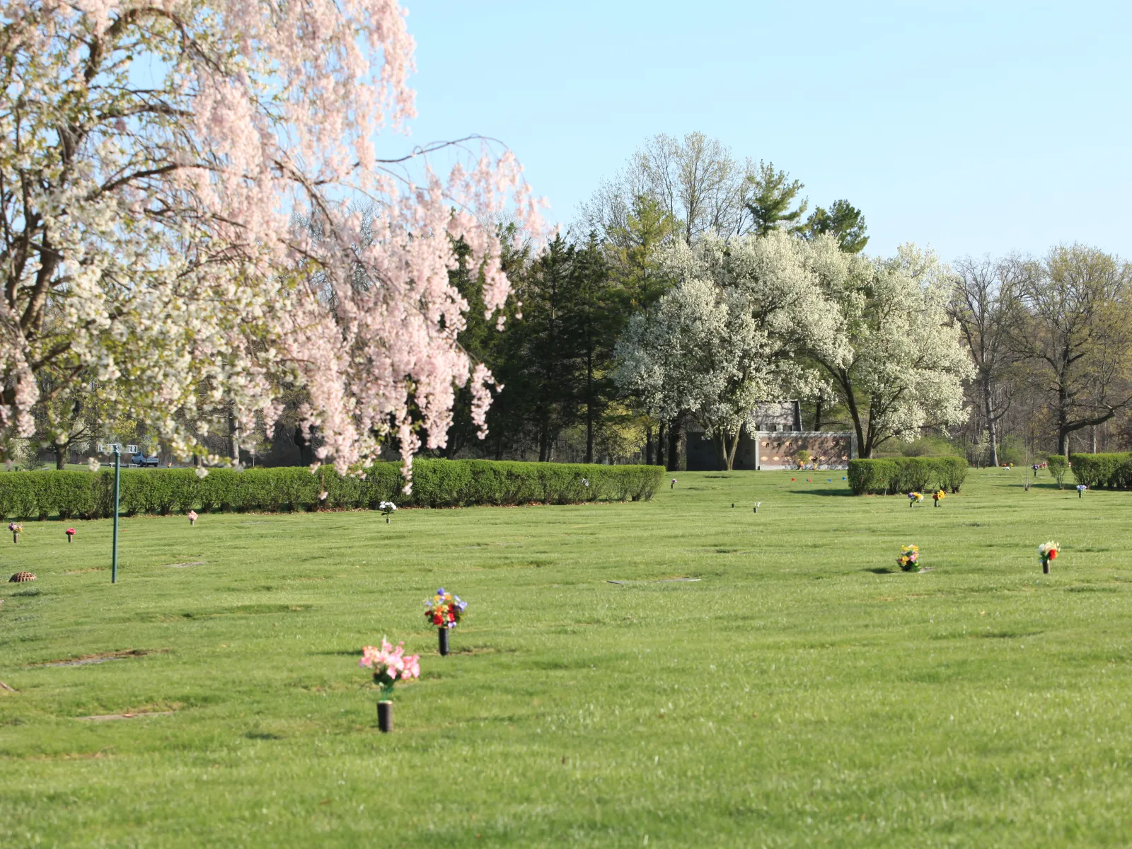 a large green lawn with trees and flowers