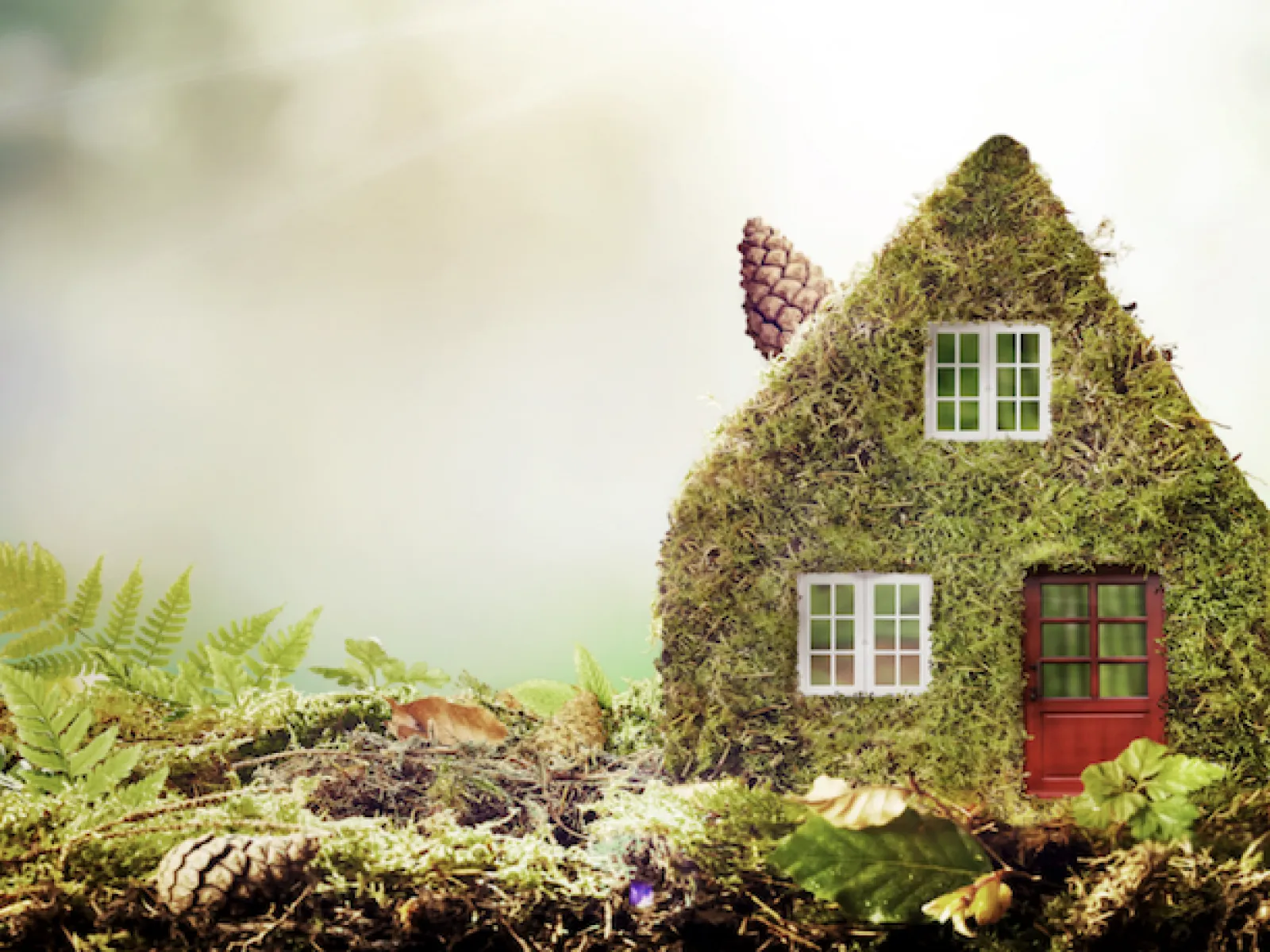 Eco-Friendly Pest Control Methods | Palmetto Exterminators