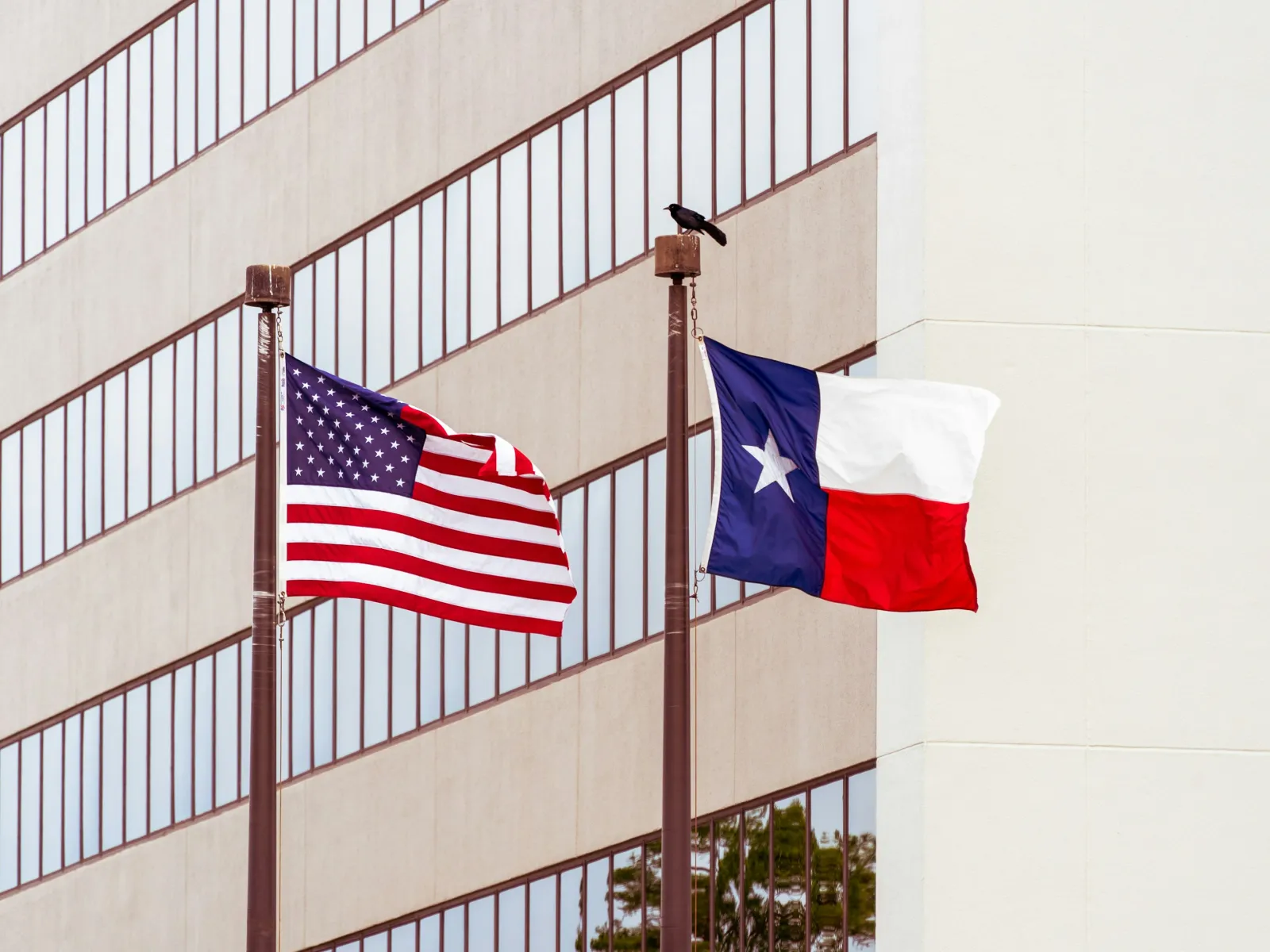 American and Texas flags waving outside a modern building, symbolizing patriotism and regional pride.