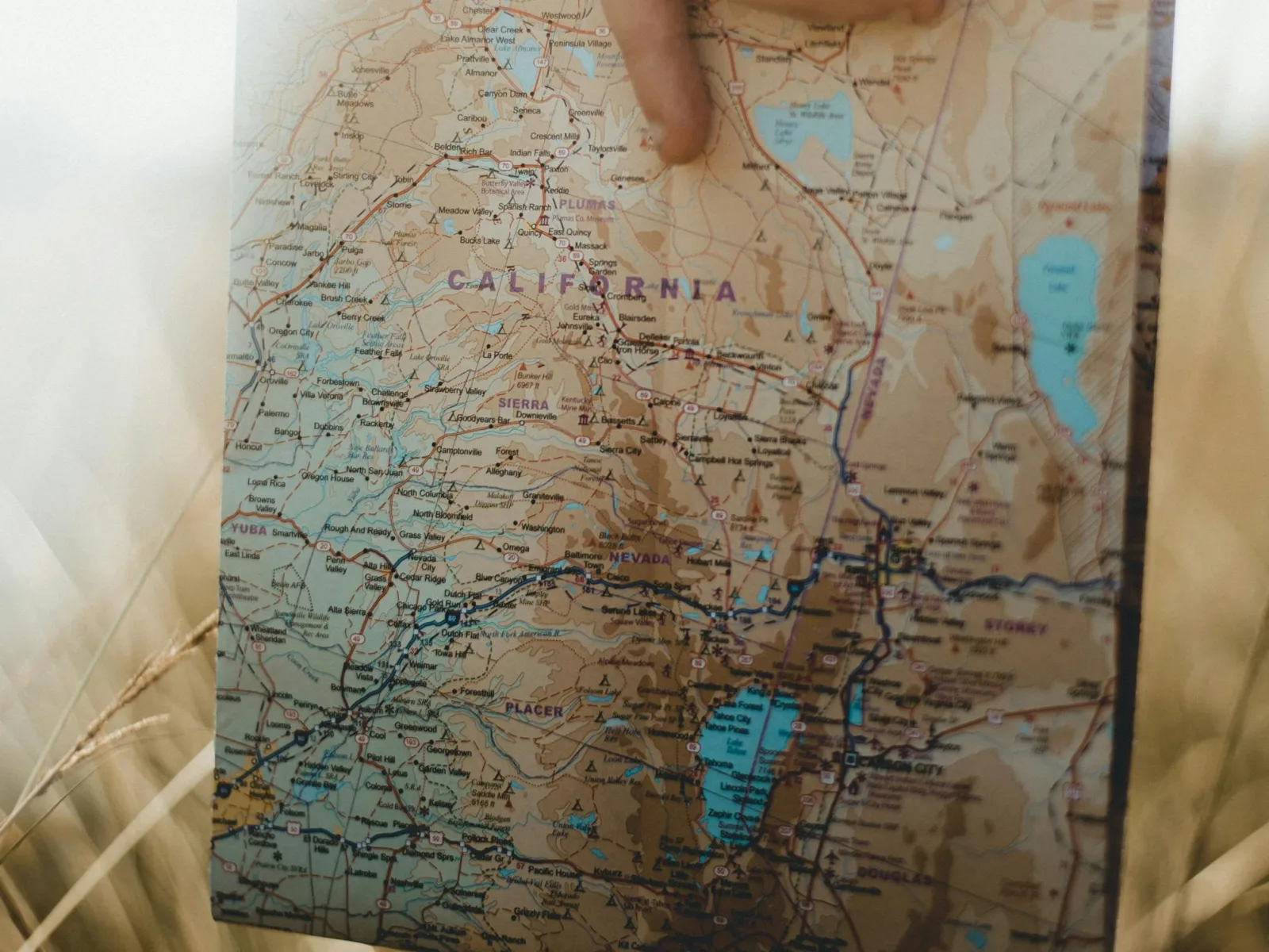 a hand holding a map