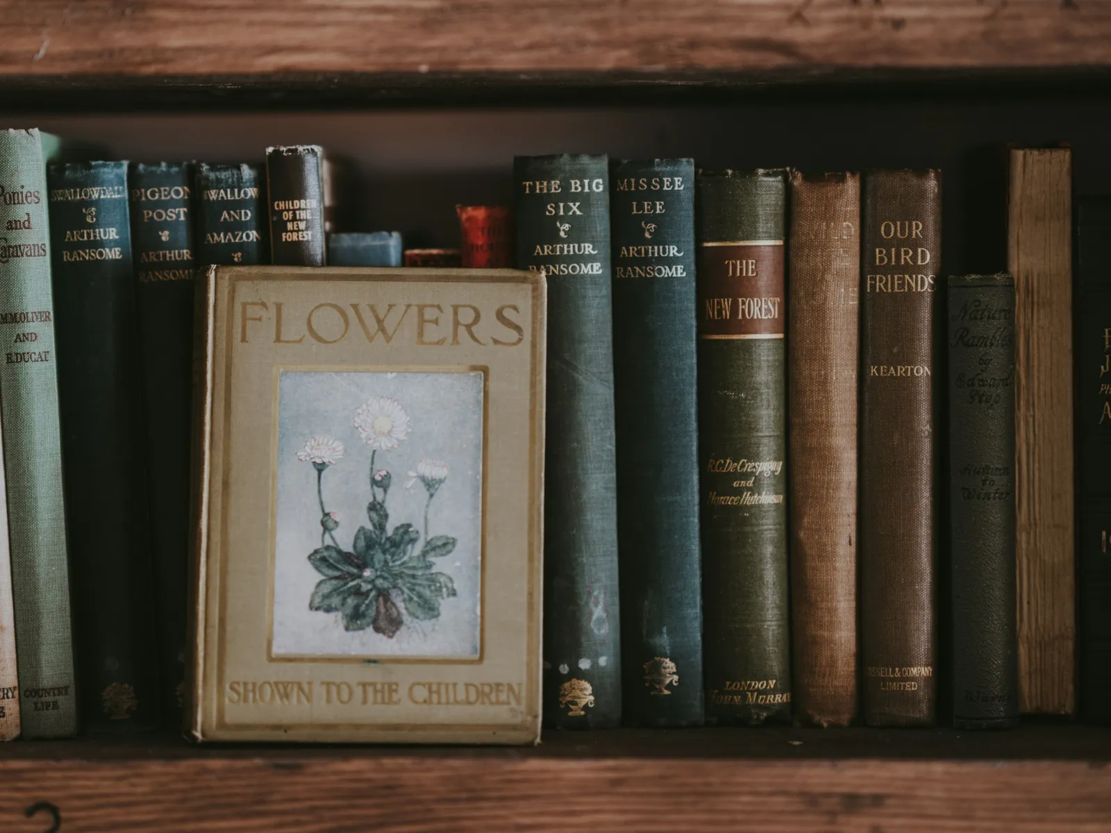 a group of books on a shelf