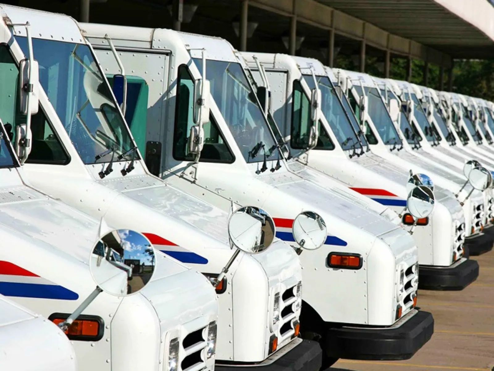 a row of white and blue vans