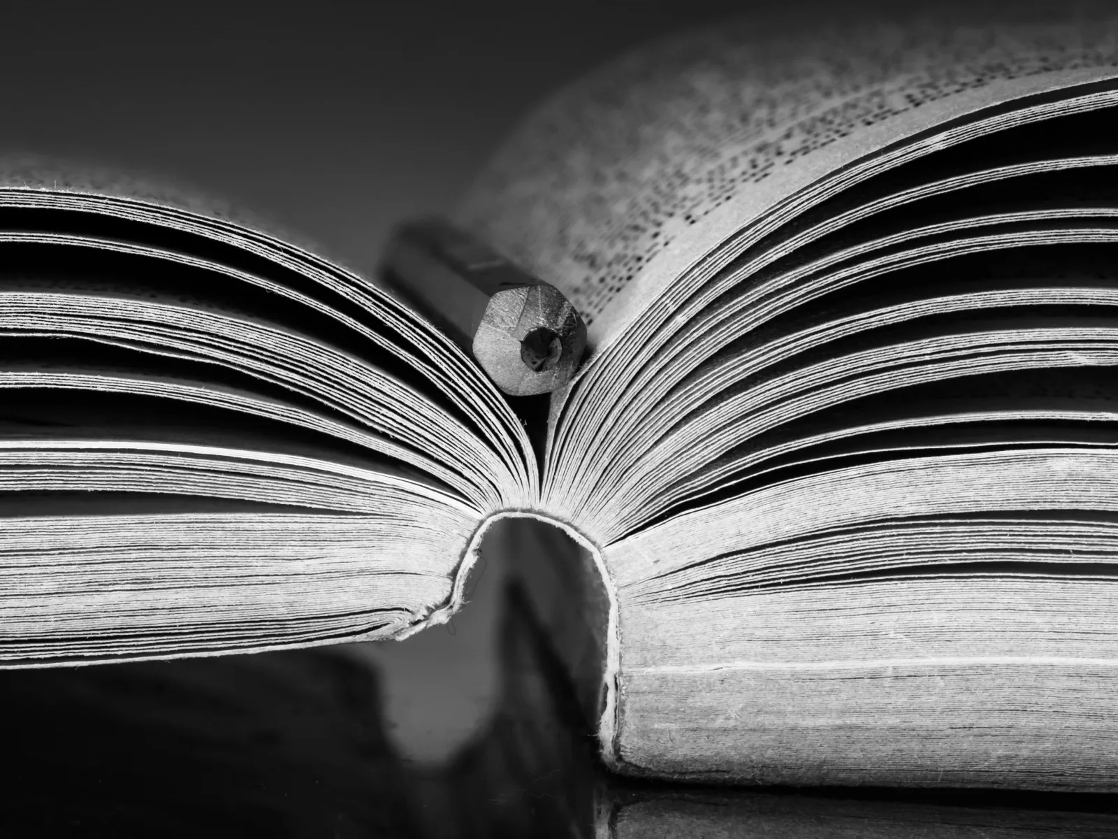 a close-up of a book