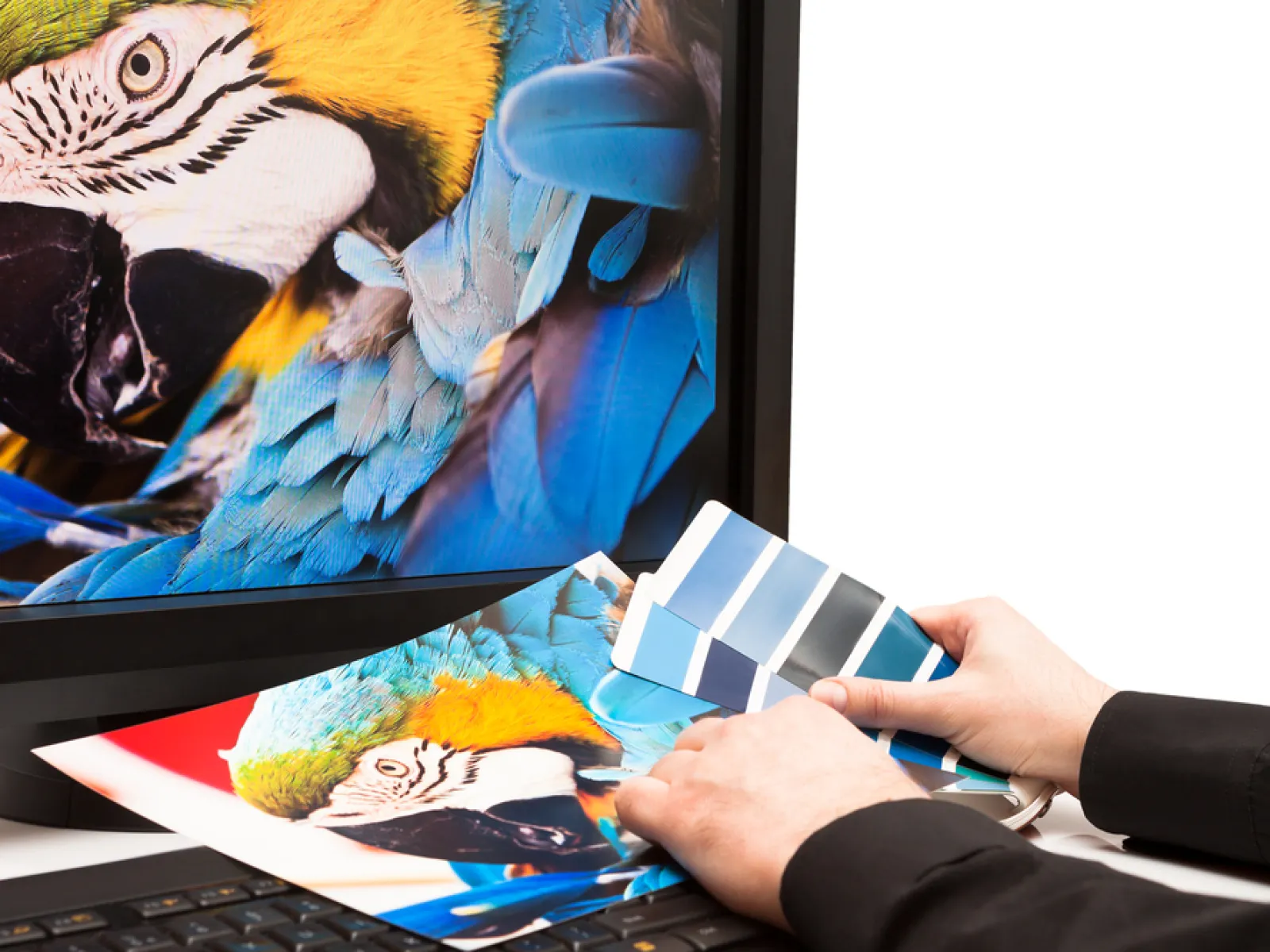 a person using a laptop
