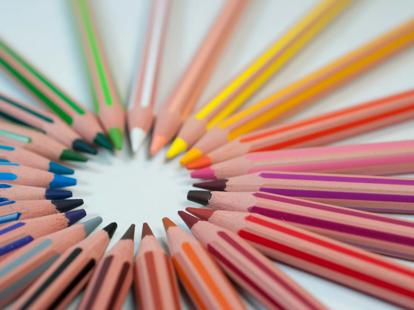 a close-up of several colored pencils