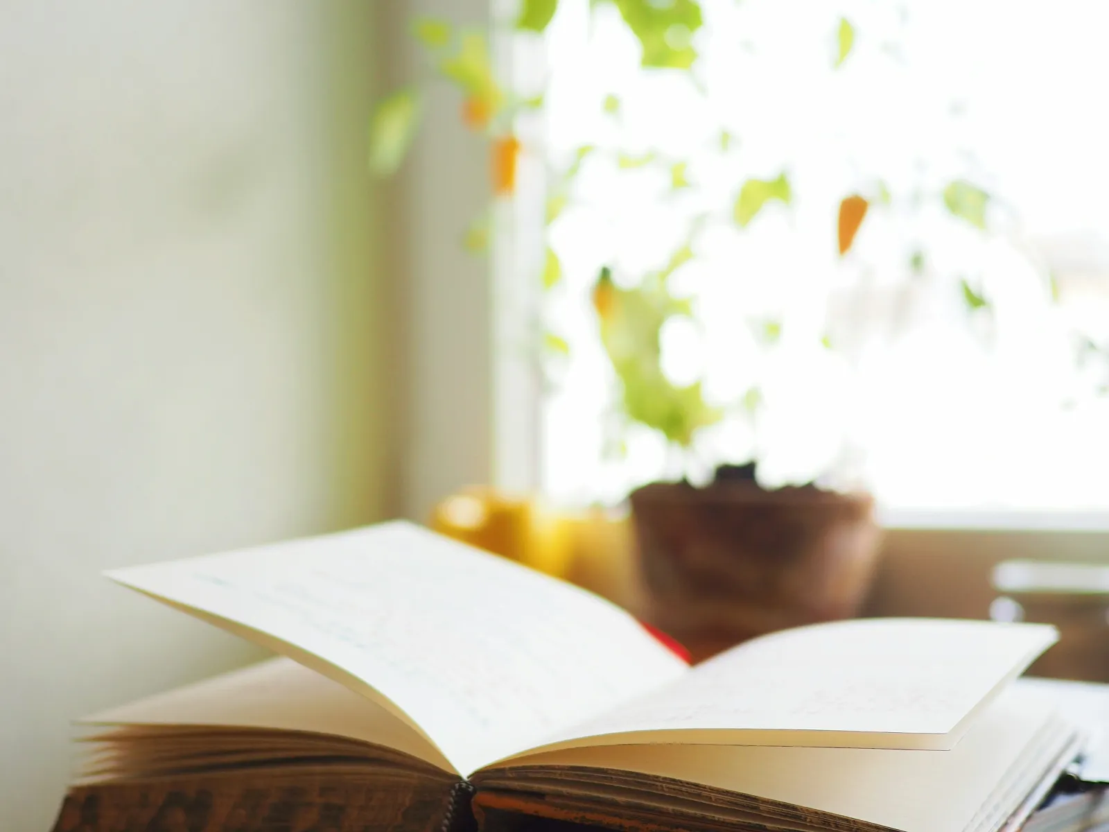 a book open on a table
