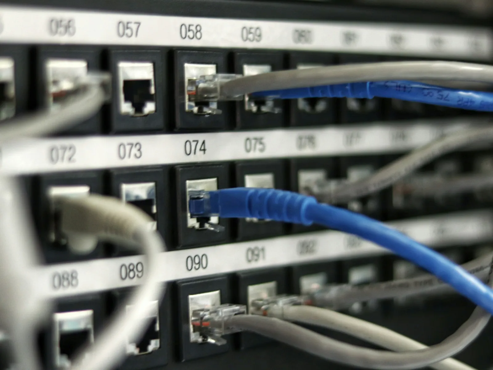 Close-up of network cables plugged into numbered Ethernet ports on a patch panel for data connectivity.