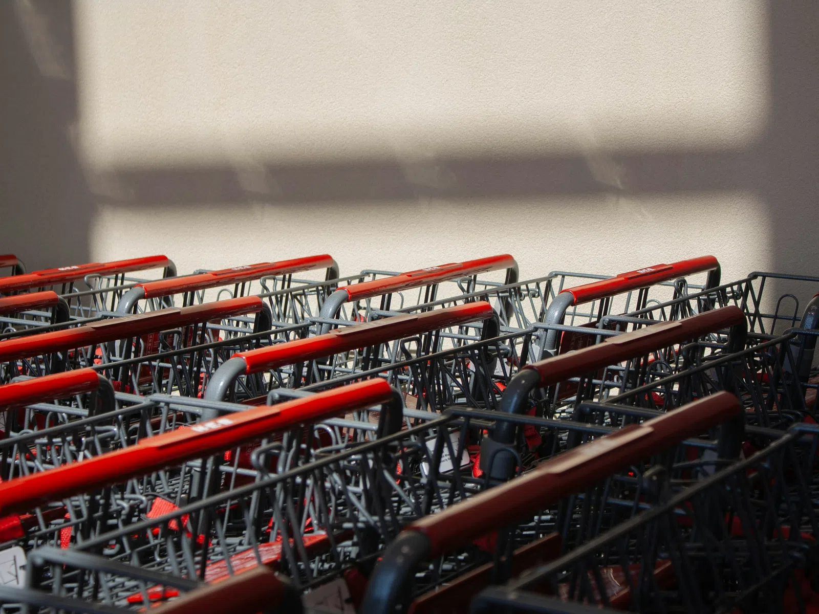 Rows of empty shopping carts with red handles neatly lined up against a wall with sunlight shadows.