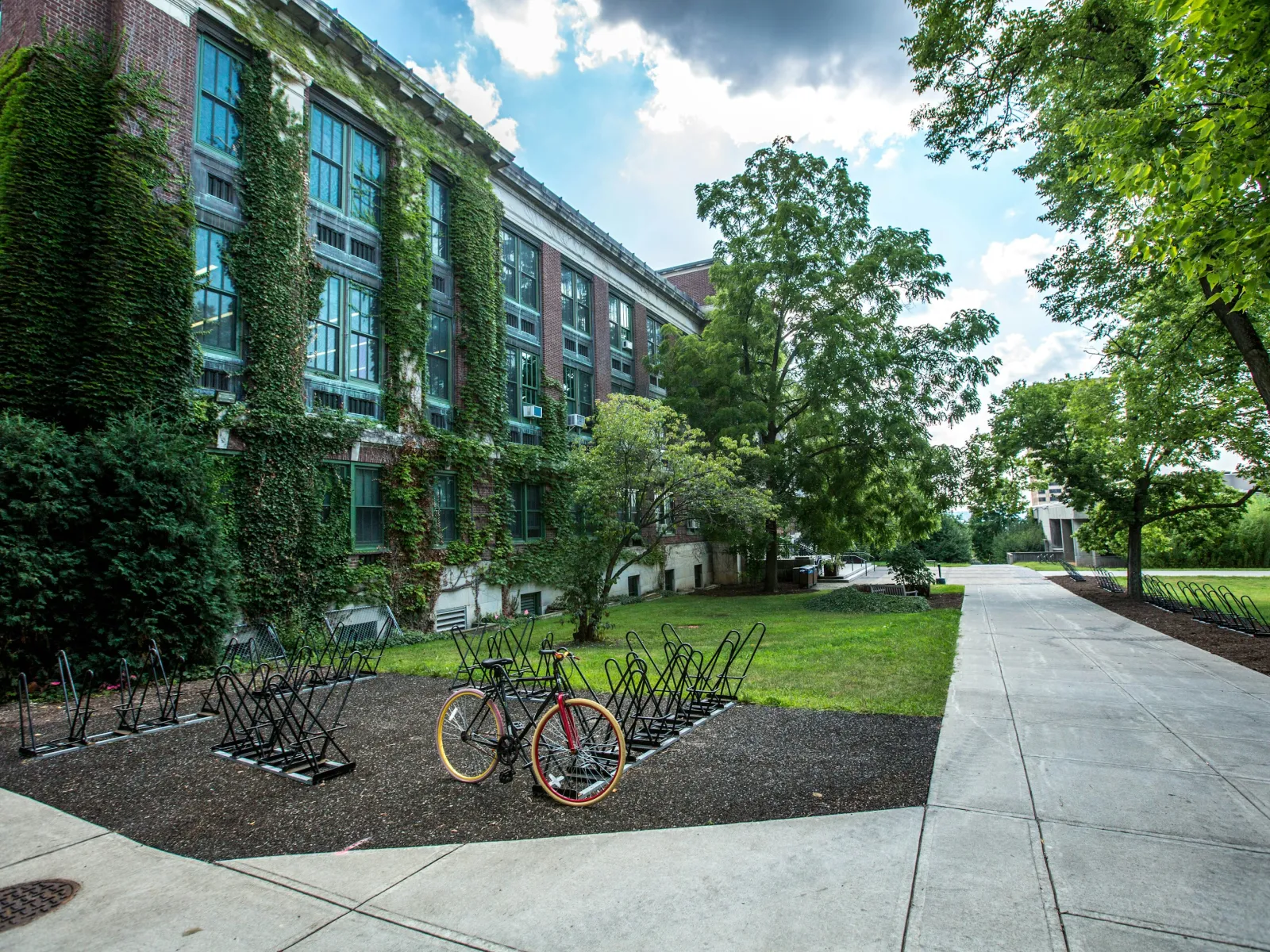 Vintage bicycle parked in an empty bike rack outside a leafy ivy-covered academic building on a sunny day.