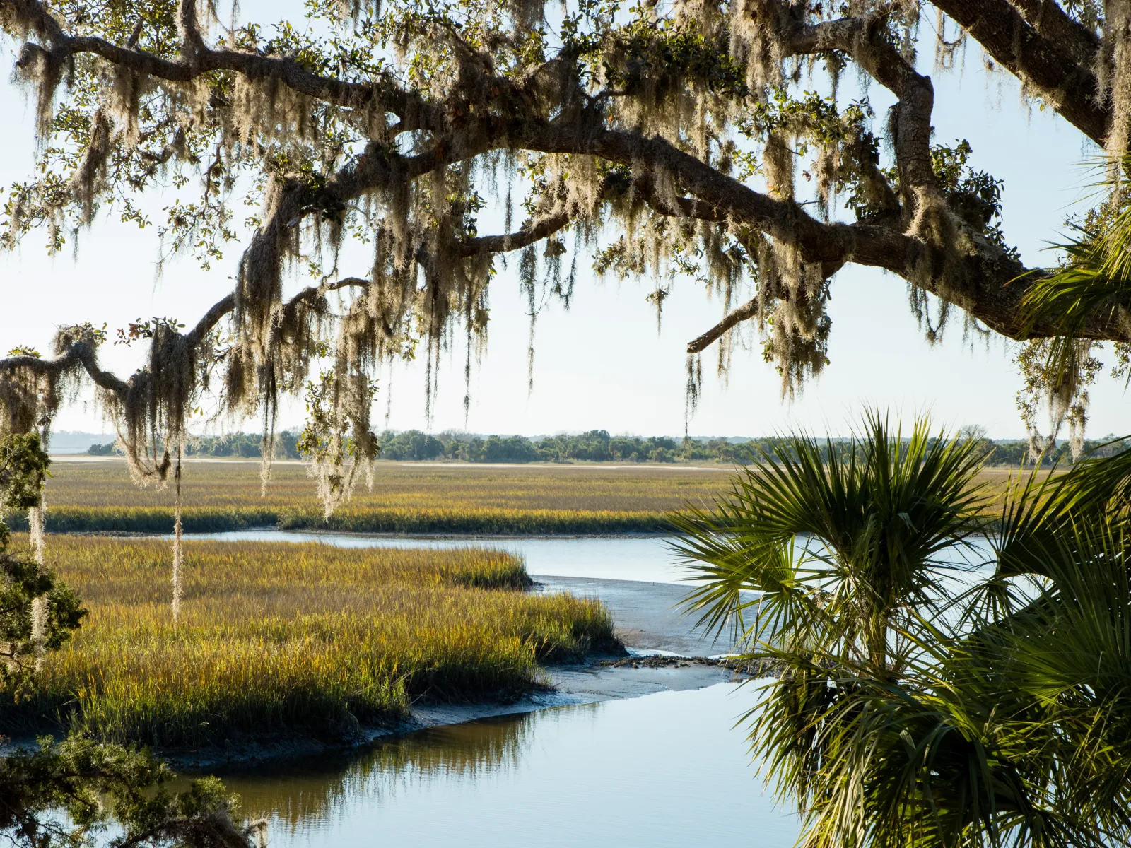 Marsh on Cumberland Island, GA