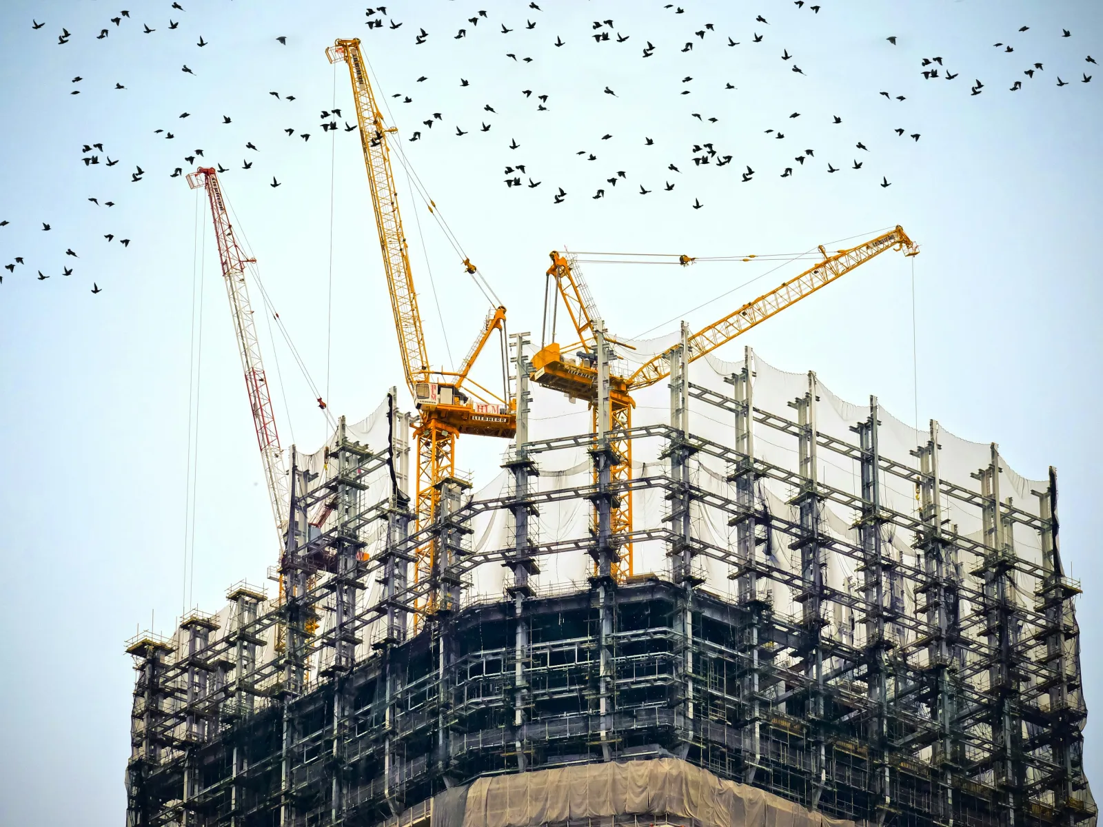 cranes flying over a building