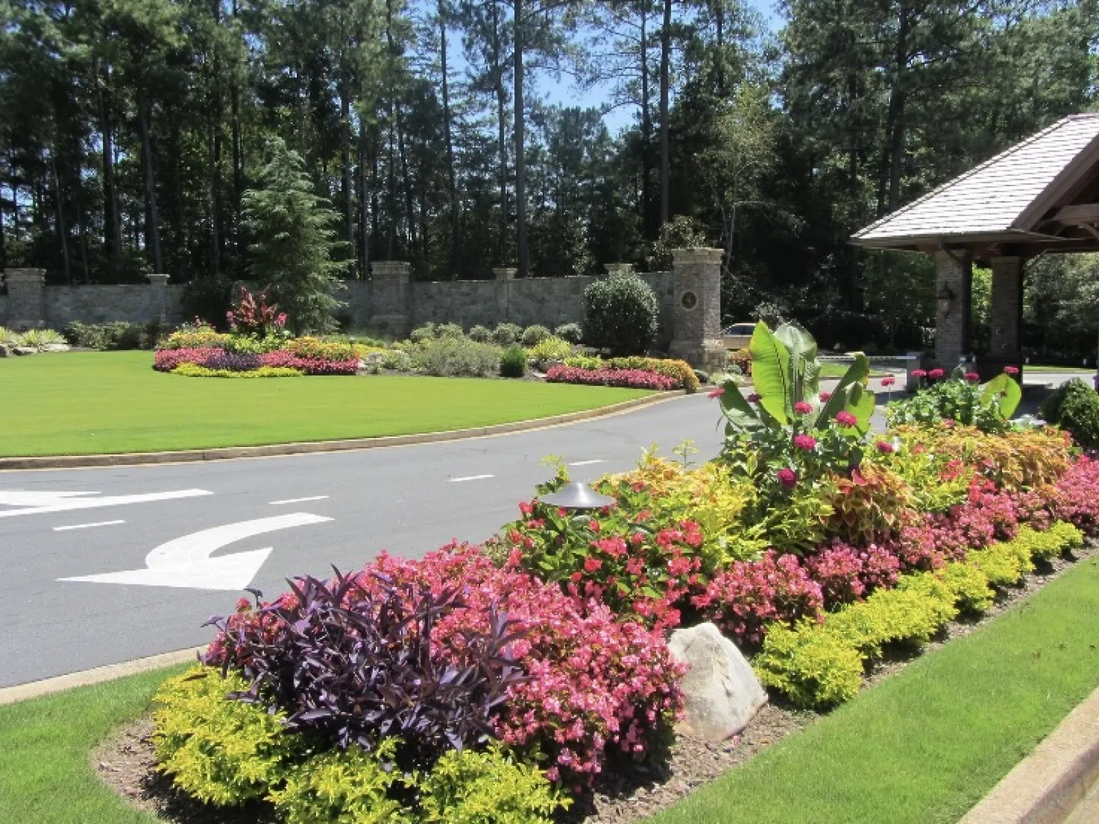 a close up of a flower garden