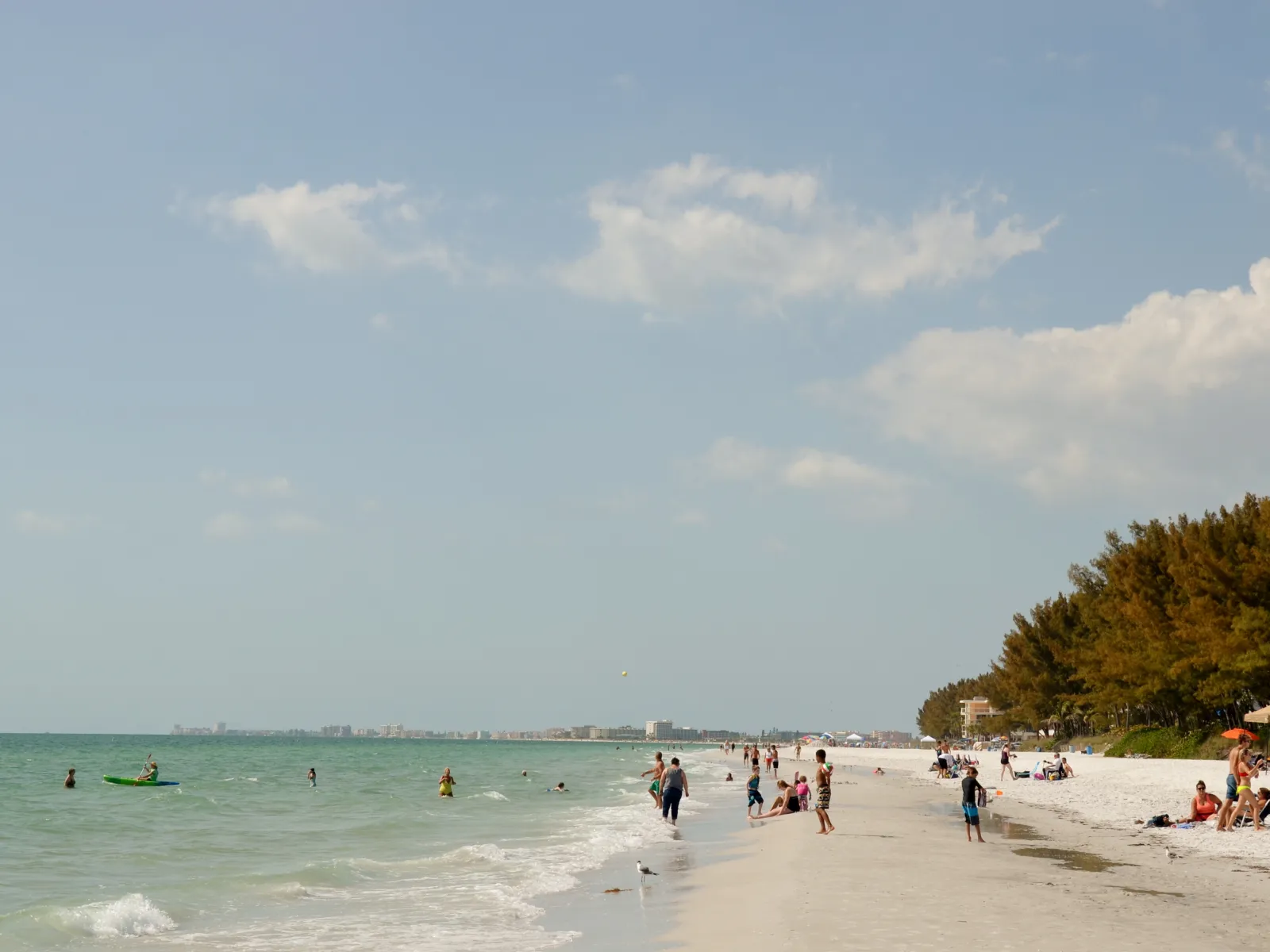 a group of people on a beach