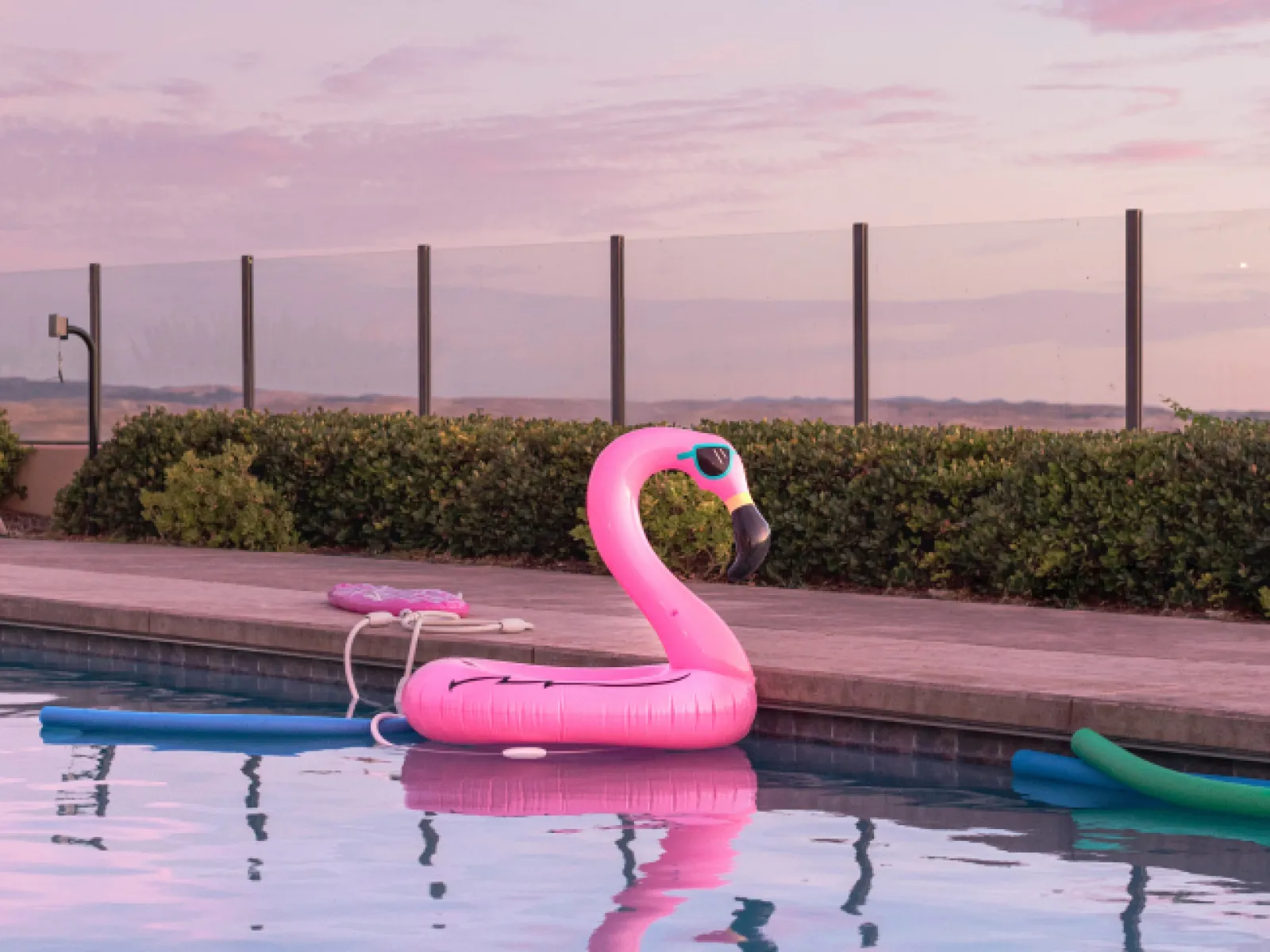 a pink statue in a pool