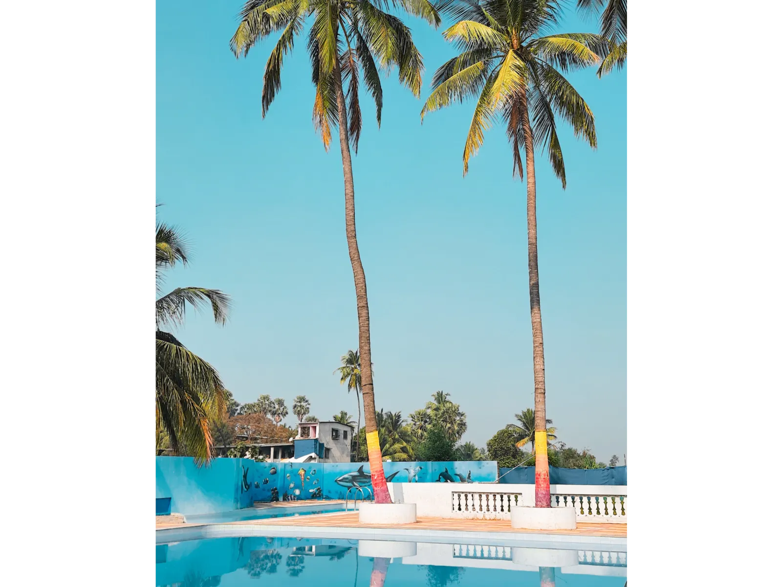 a pool with palm trees around it