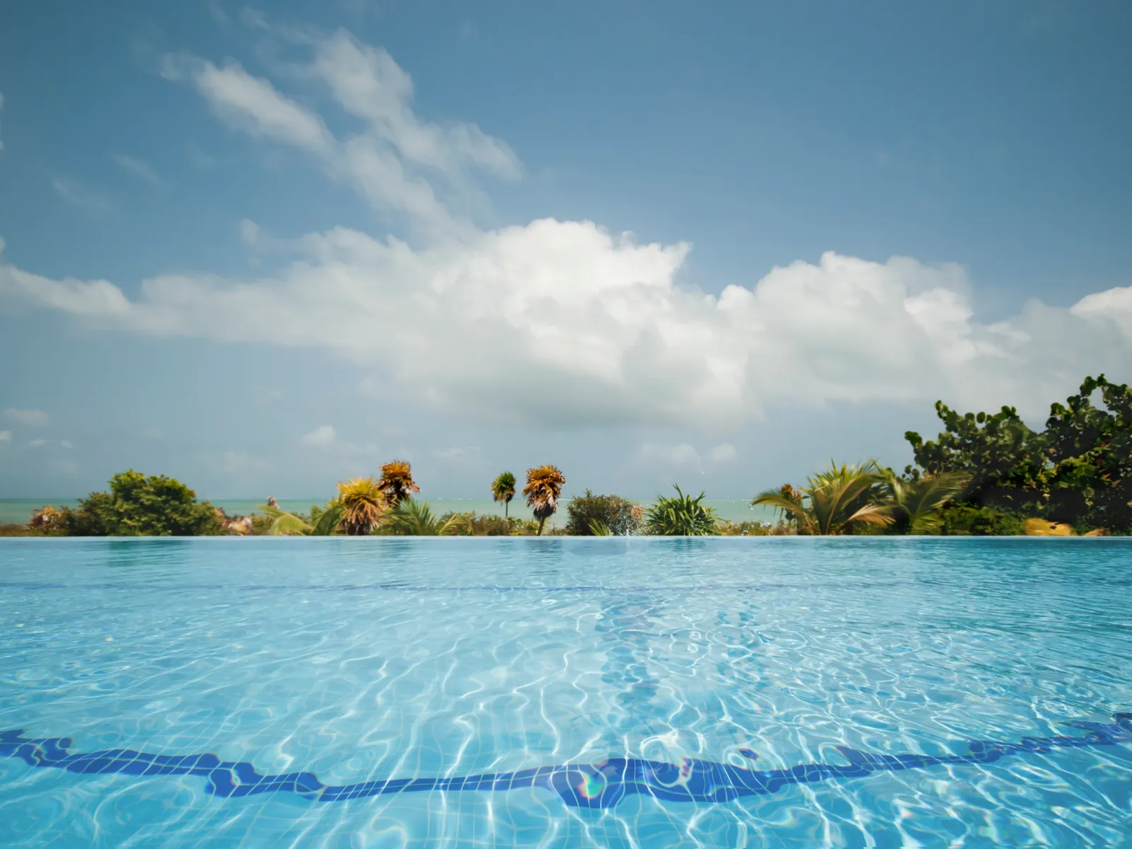 a body of water with trees in the background