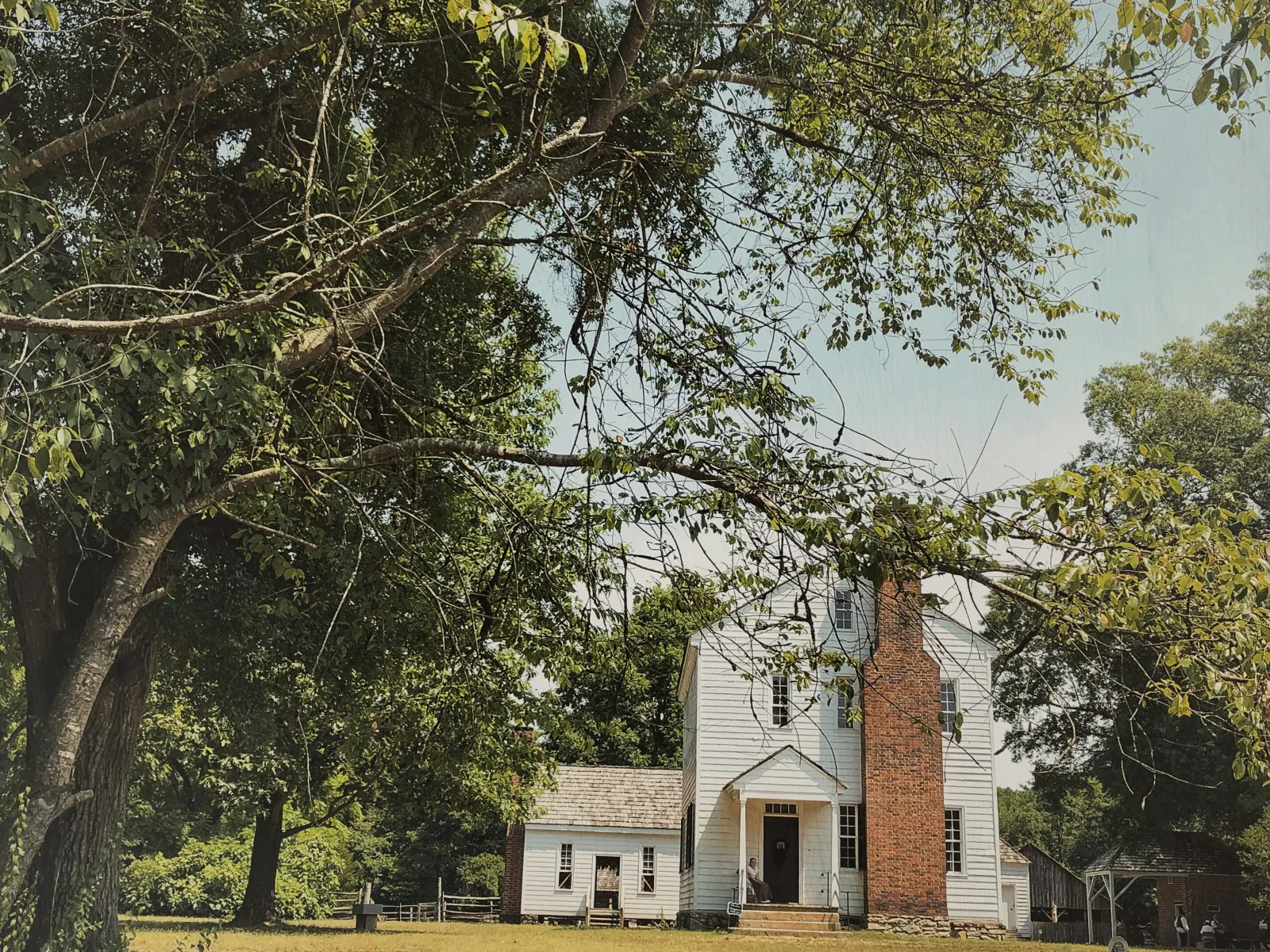 Residential and Commercial Pest Control in Huntersville, Huntersville Pest Services, Huntersville Certified Pest Control Technicians, Huntersville Exterminator, Huntersville Pest Inspections.