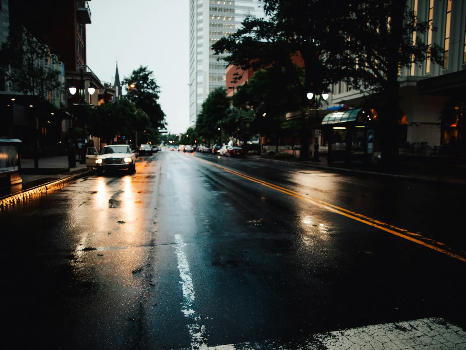 Residential and Commercial Pest Control in Woodford Green, Woodford Green Pest Services, Woodford Green Certified Pest Control Technicians, Woodford Green Exterminator, Woodford Green Pest Inspections.