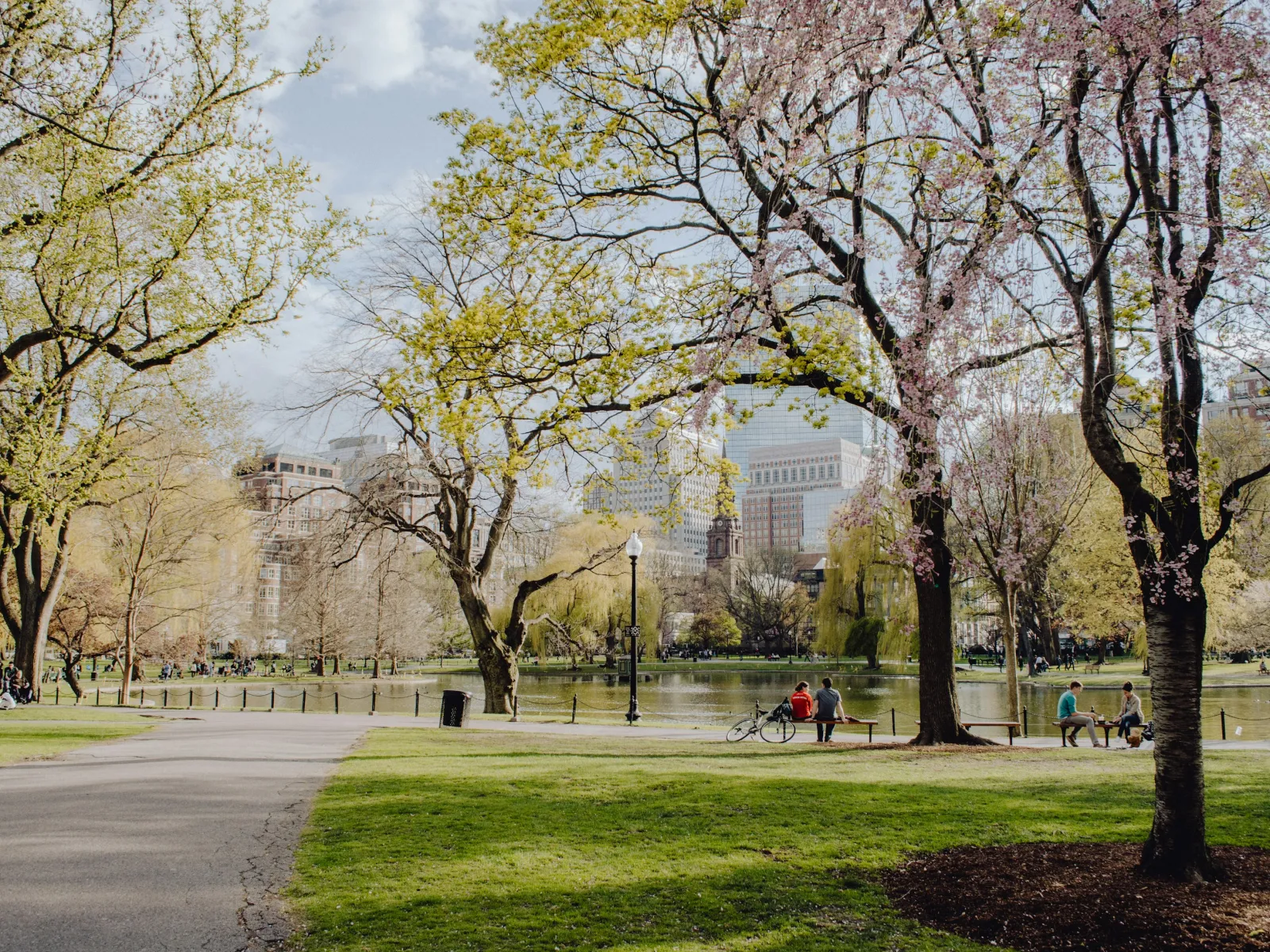 Residential and Commercial Pest Control in Wil-Mar Park, Wil-Mar Park Pest Services, Wil-Mar Park Certified Pest Control Technicians, Wil-Mar Park Exterminator, Wil-Mar Park Pest Inspections.