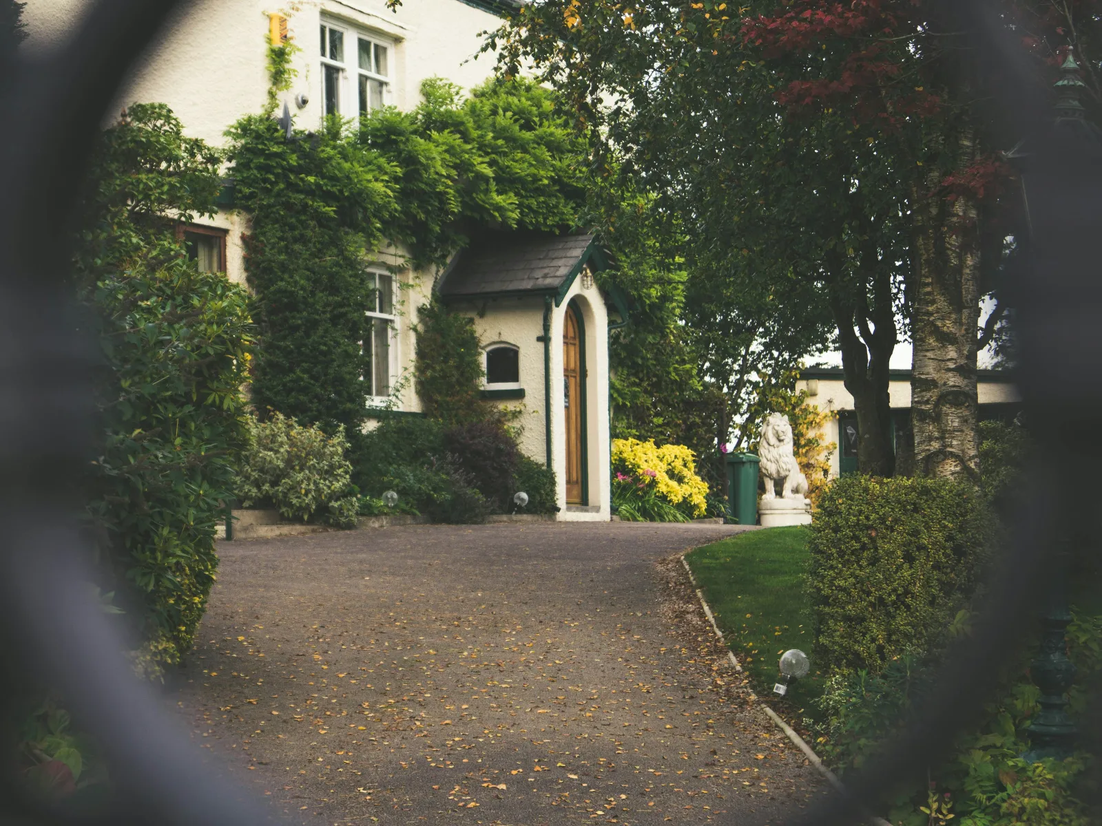 Charlotte House Doors and Windows Good Nature Pest