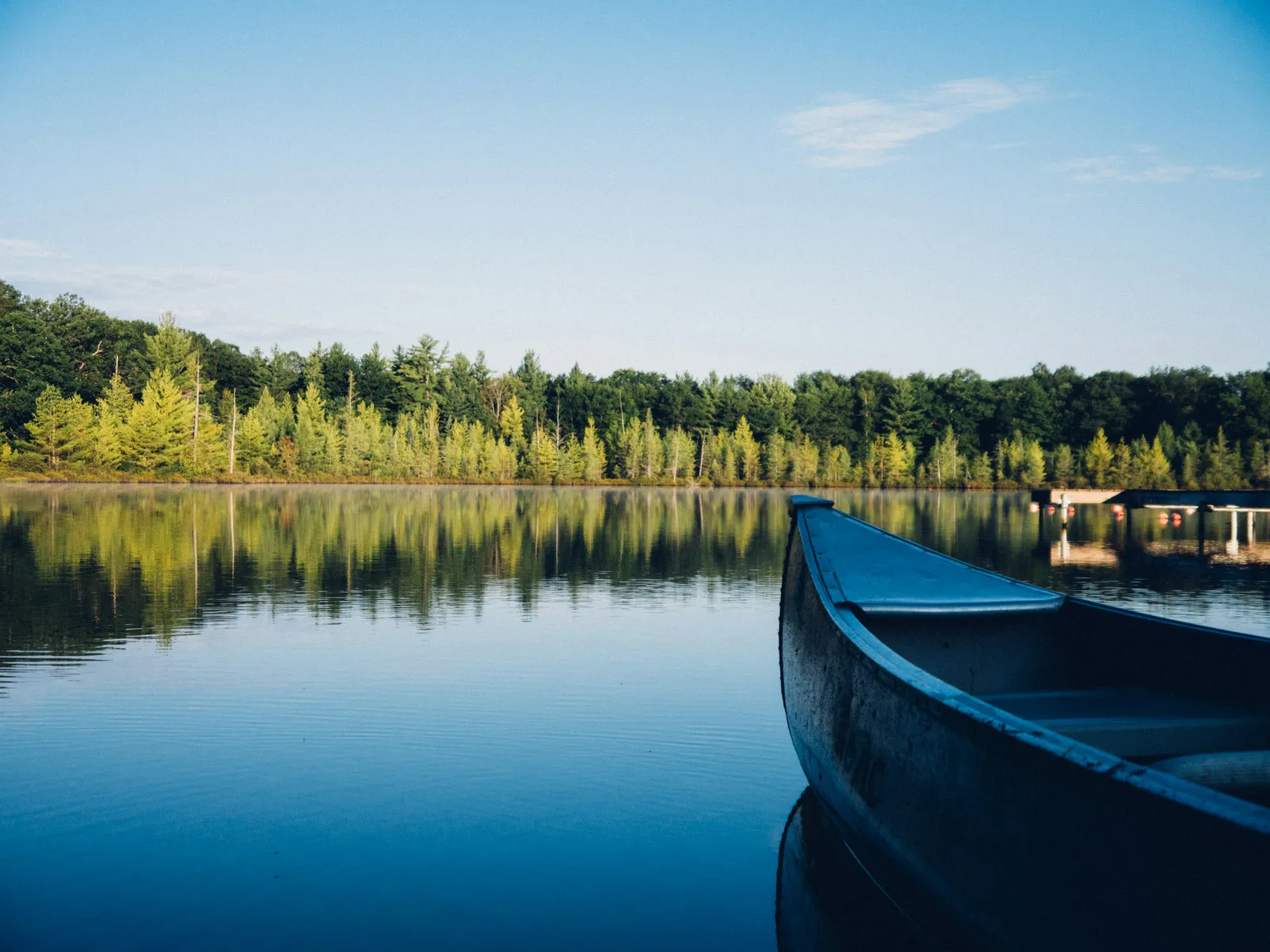 Residential and Commercial Pest Control in Lake Wylie, Lake Wylie Pest Services, Lake Wylie Certified Pest Control Technicians, Lake Wylie Exterminator, Lake Wylie Pest Inspections.
