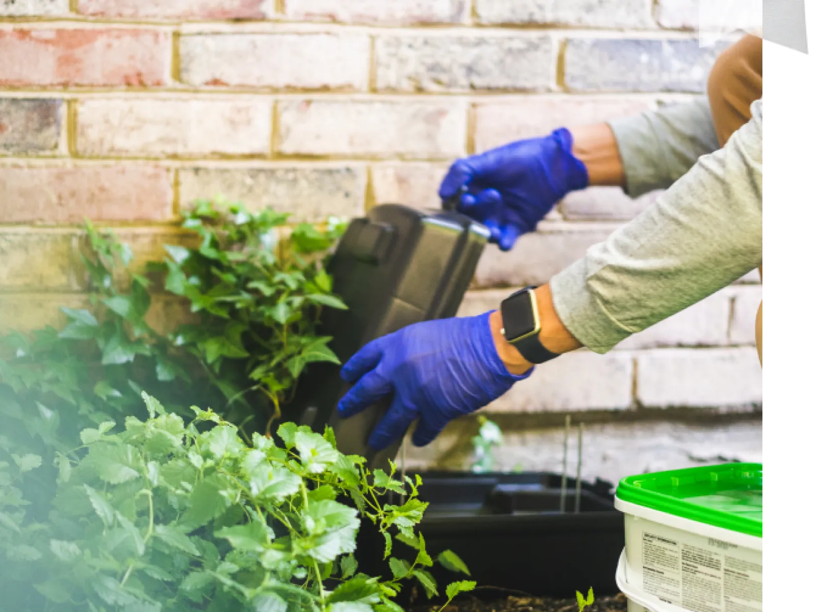 a person in gloves setting up a rodent trap