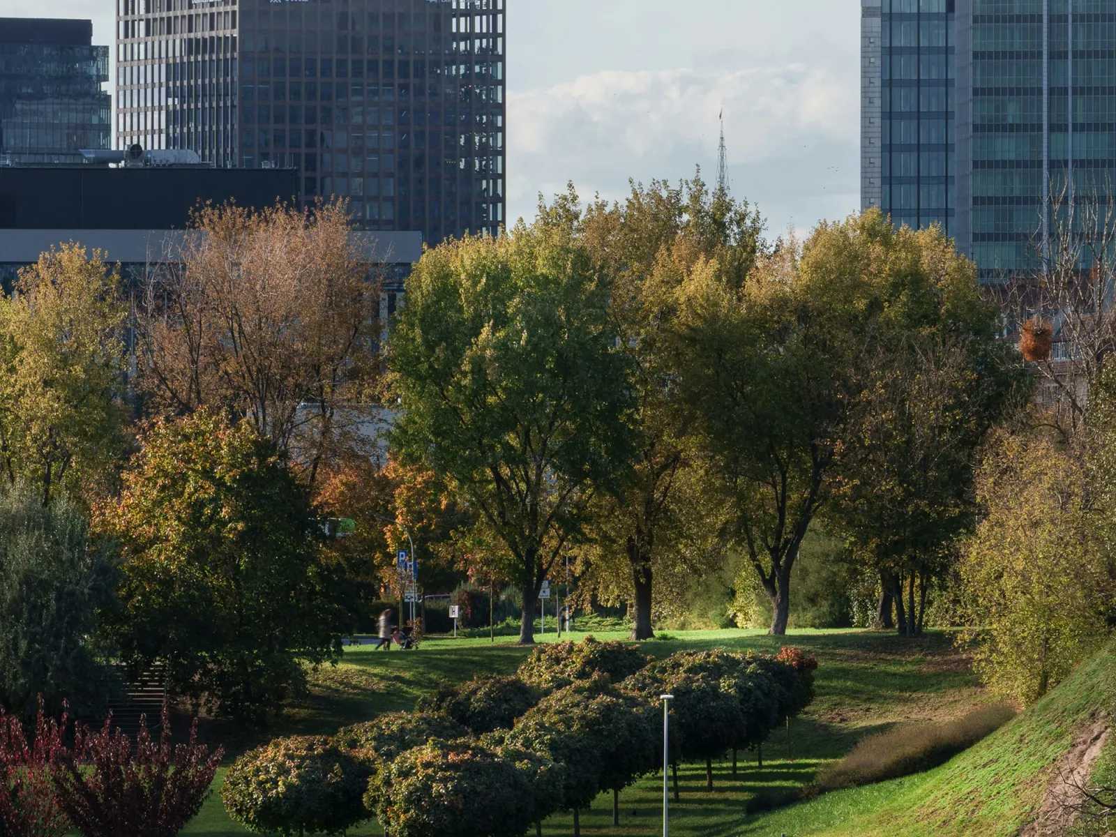 Urban park with green lawns and trees in autumn, people walking and jogging, skyscrapers in the background.