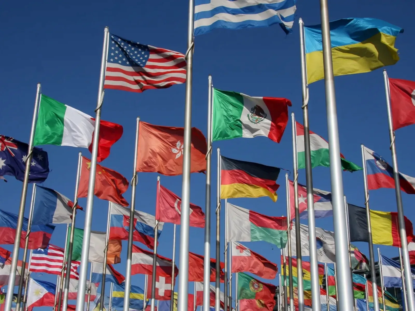 Multiple national flags fluttering on poles against a clear blue sky, representing global unity and diversity