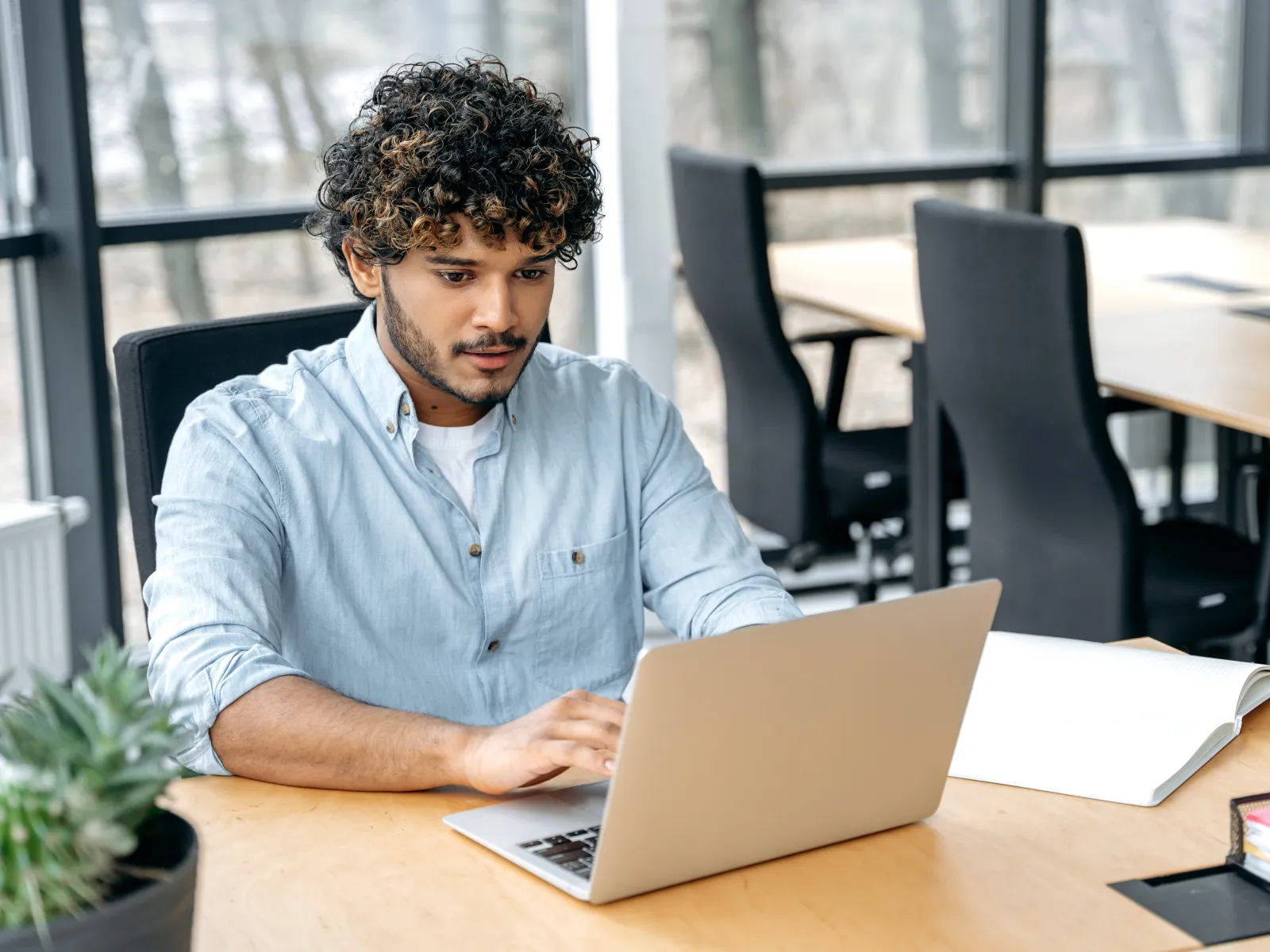 Young man with curly hair working focused on a laptop at a modern office desk with natural light.