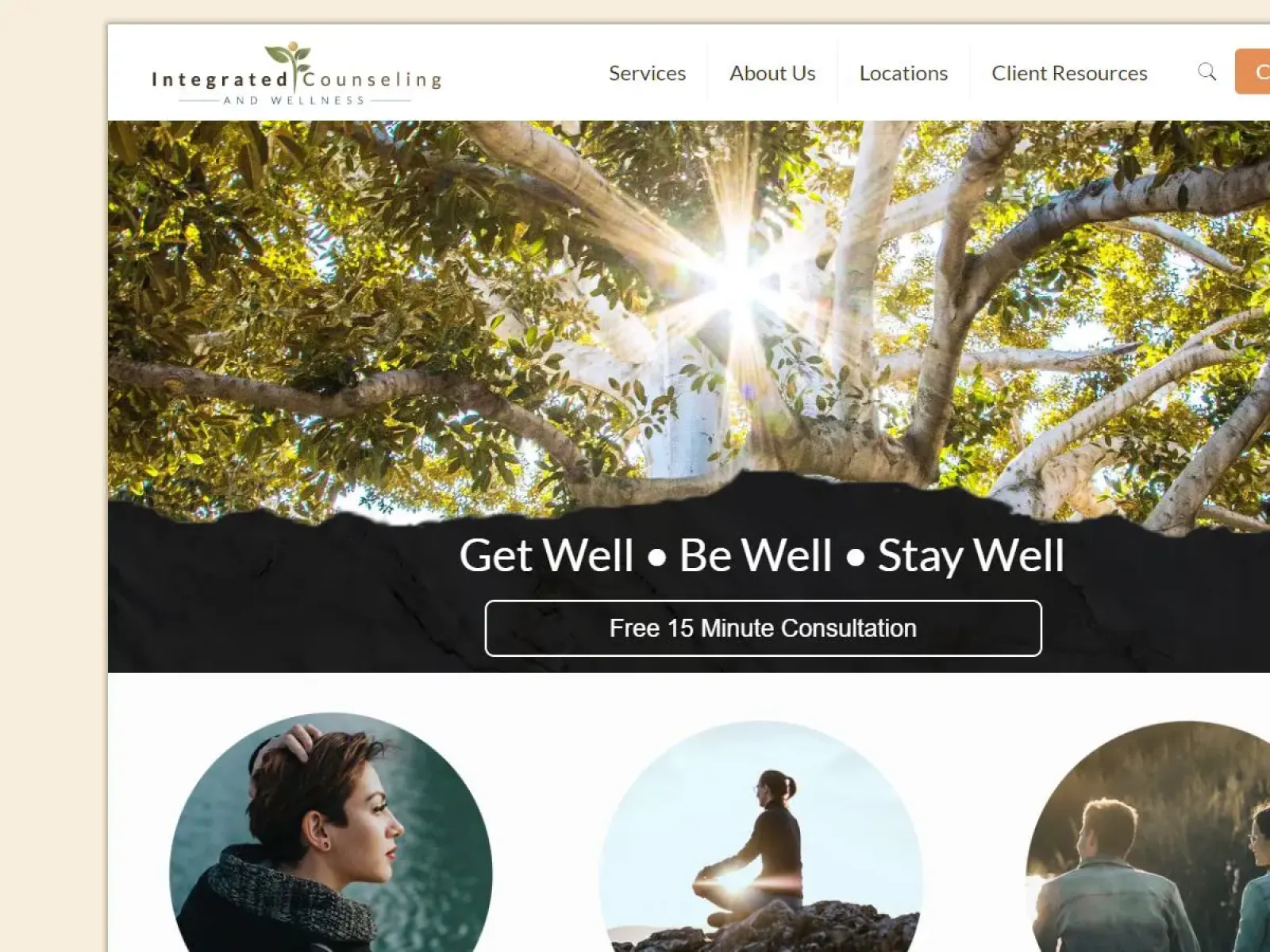 graphical user interface, website
