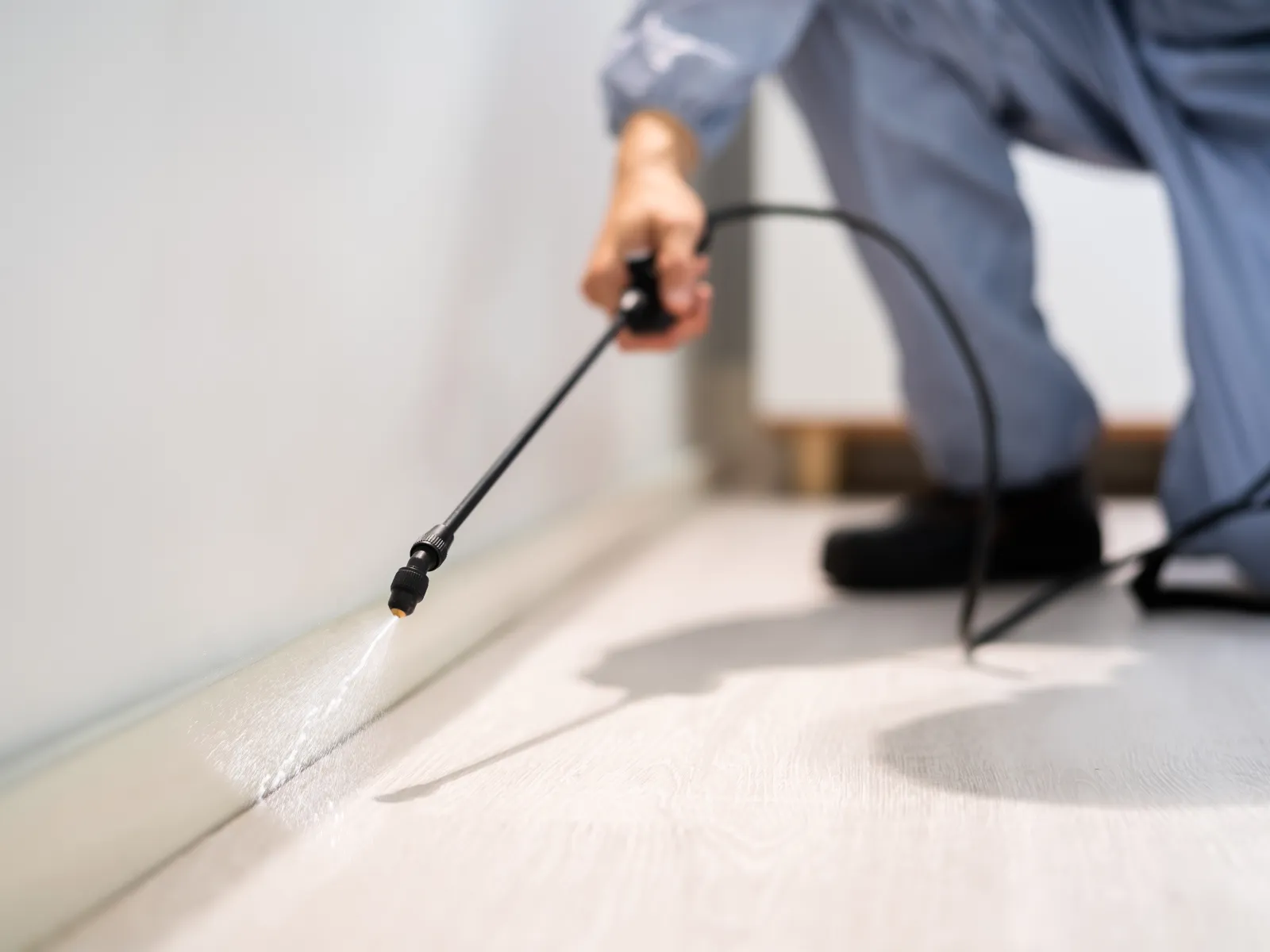 Professional pest control technician spraying insecticide along baseboard of indoor room floor.