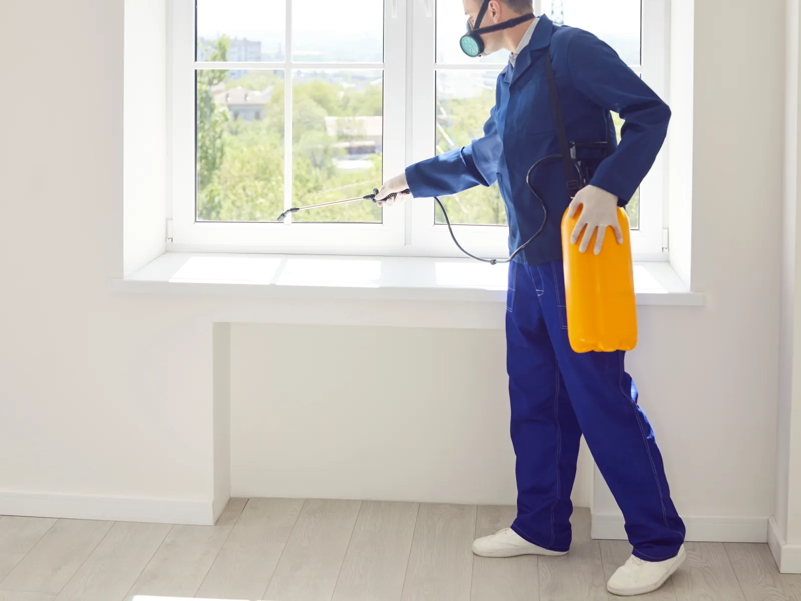 Professional pest control worker wearing mask spraying insecticide near window indoors