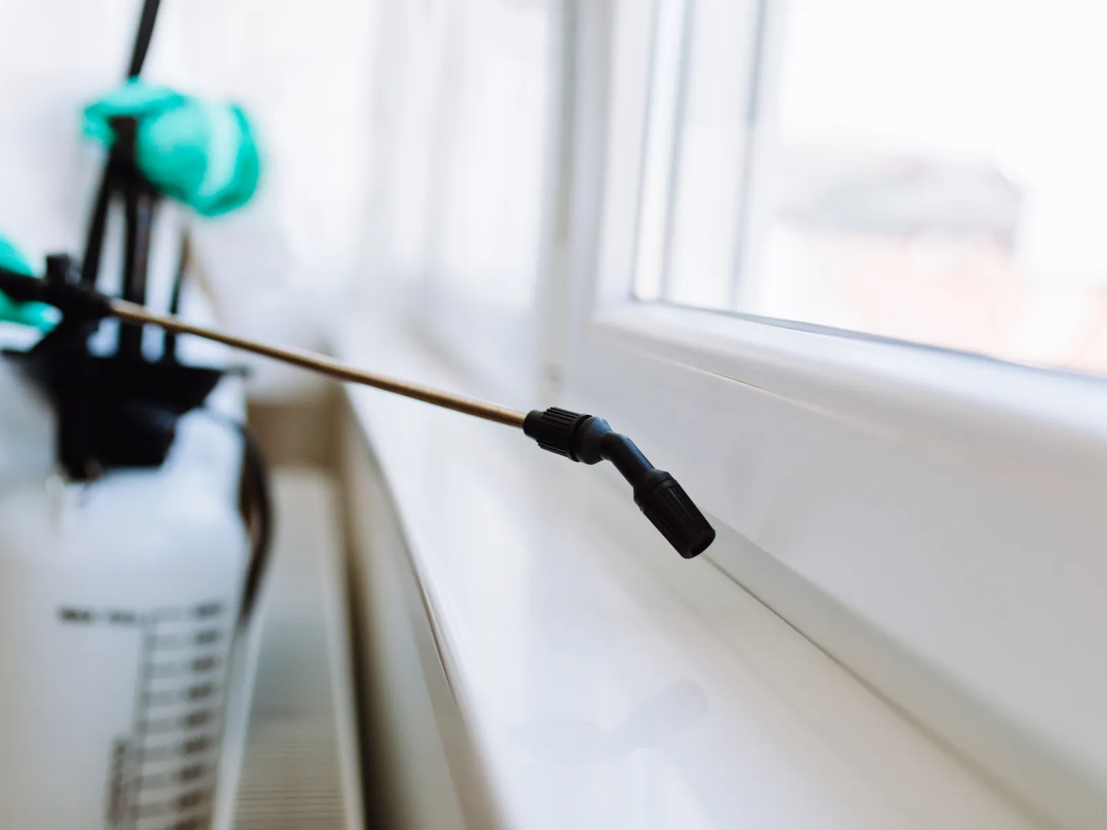 Person in protective gloves spraying disinfectant on a white window frame using a handheld sprayer indoors.