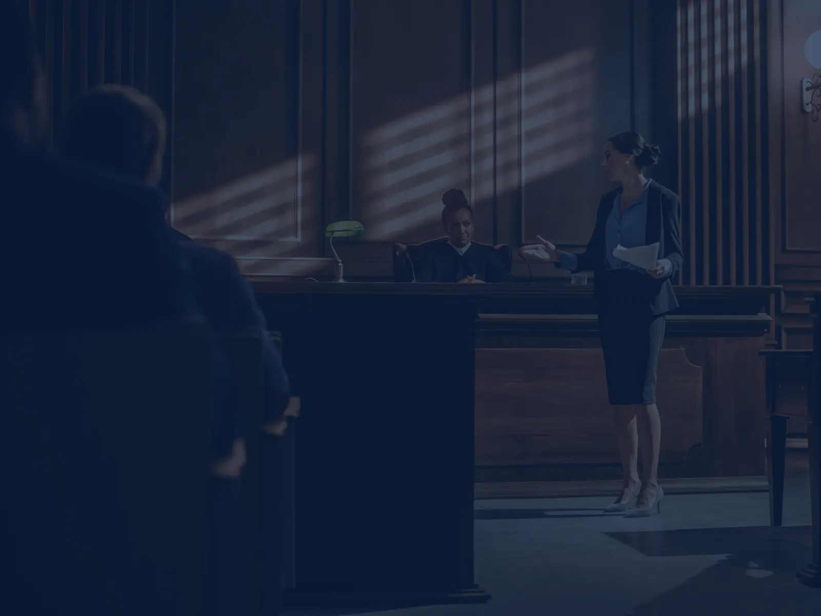 Lawyer presenting a case in a courtroom with a judge and seated audience in a wood-paneled room.