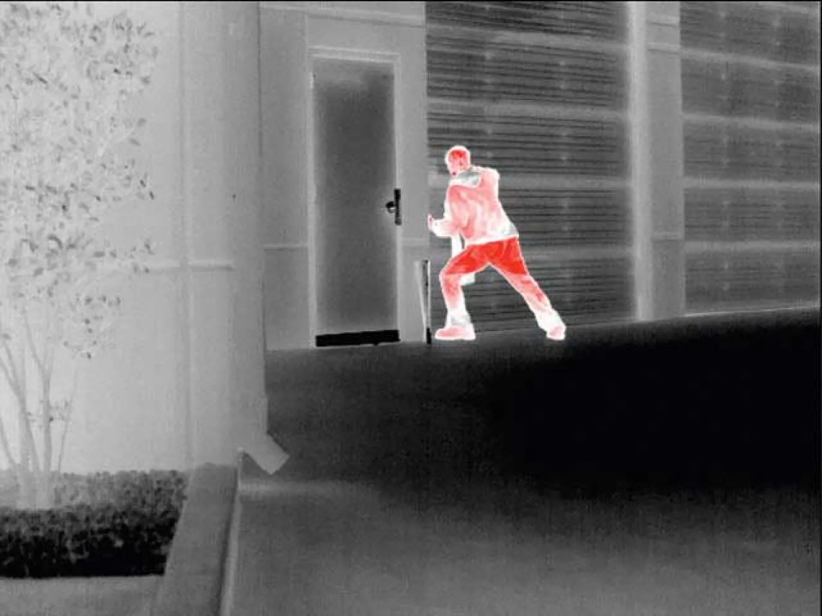 the view of a thermal security camera