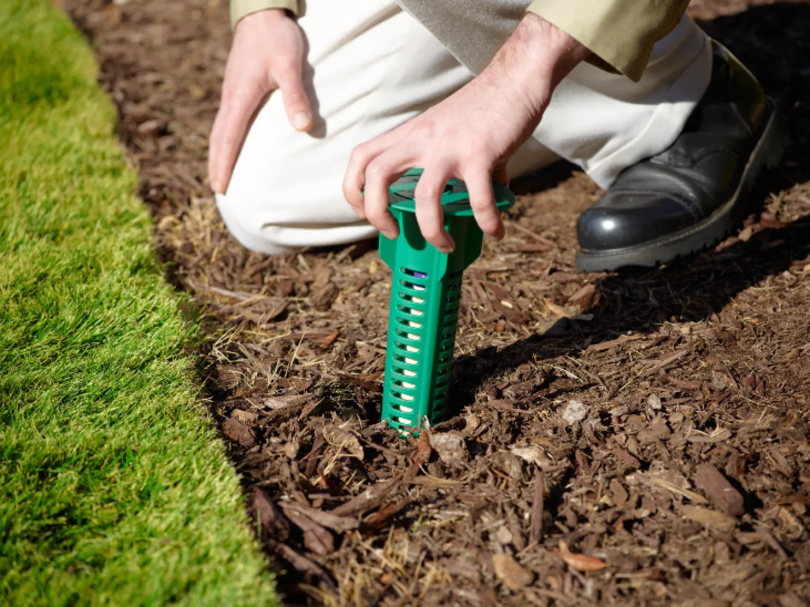person holding a termite trap