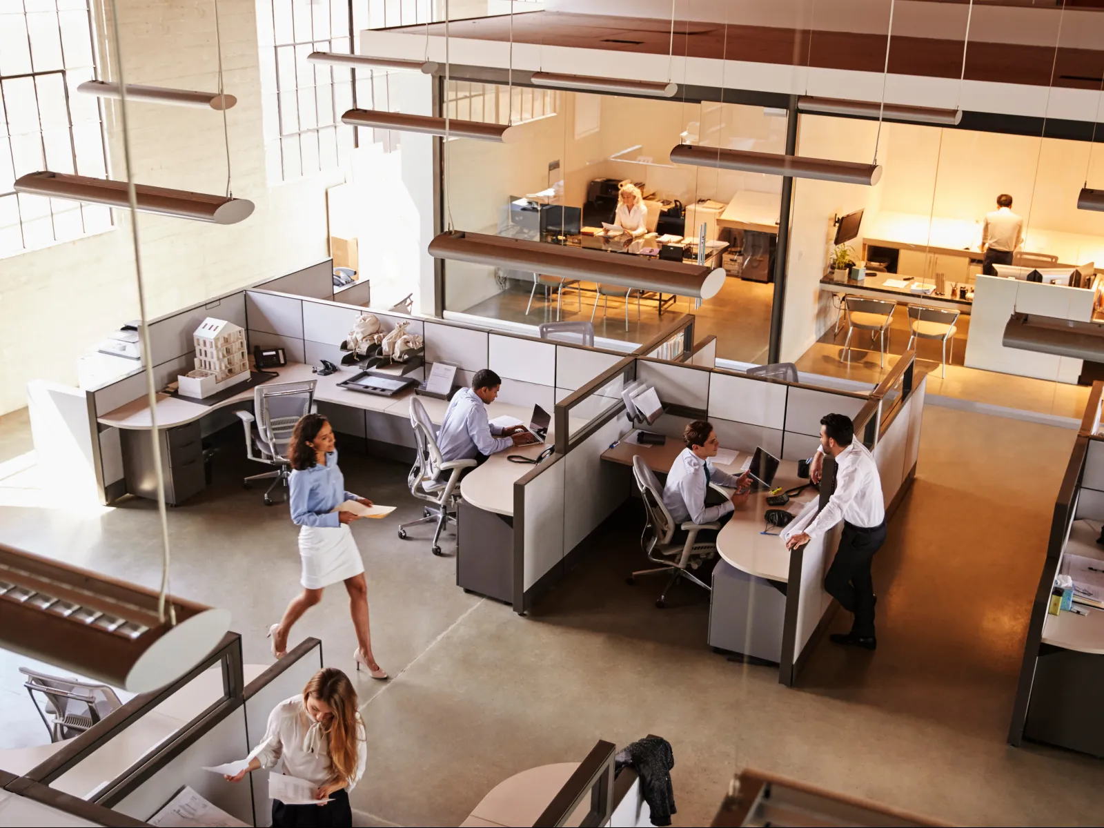 a group of people in an office
